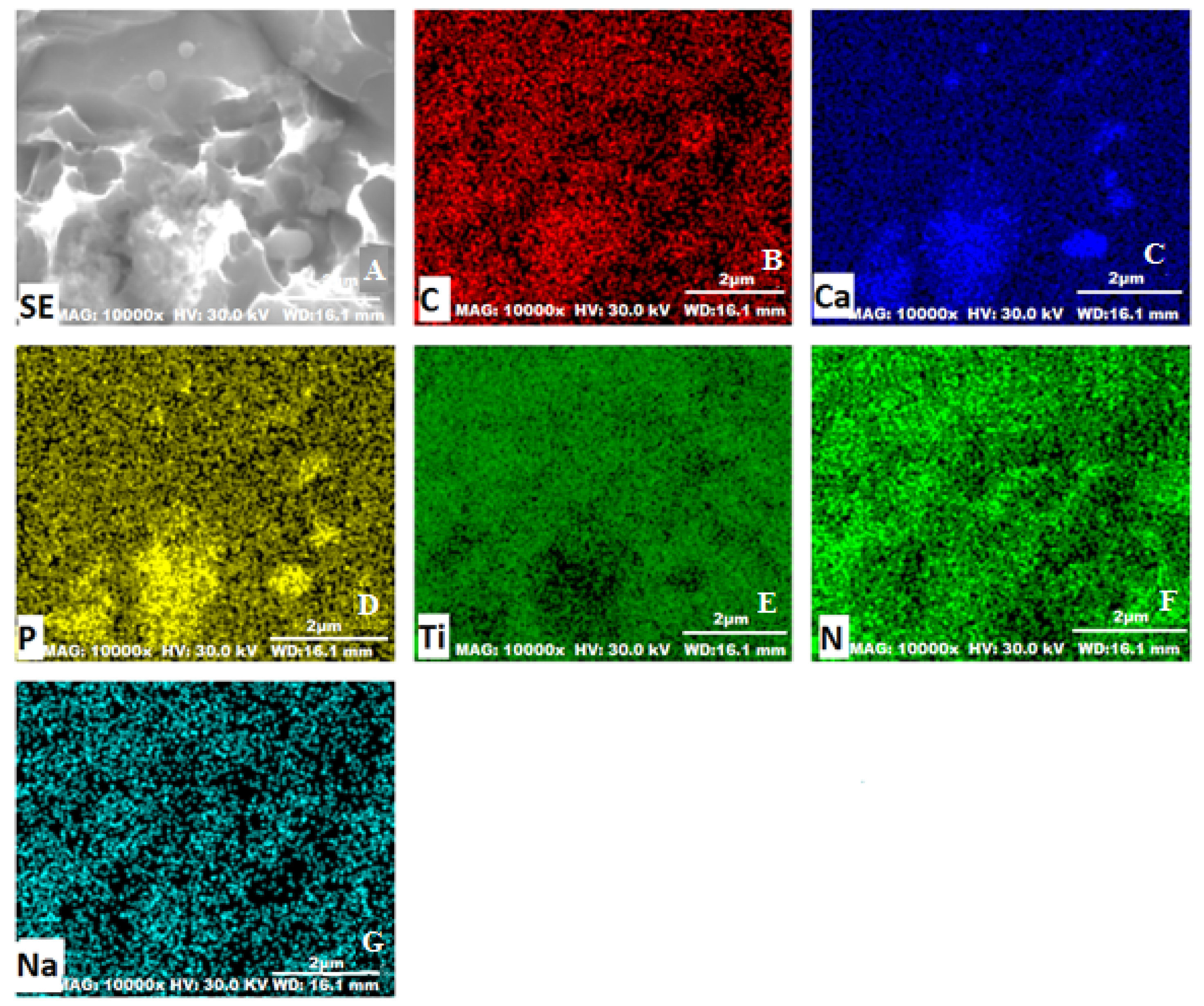 Coatings 09 00782 g004