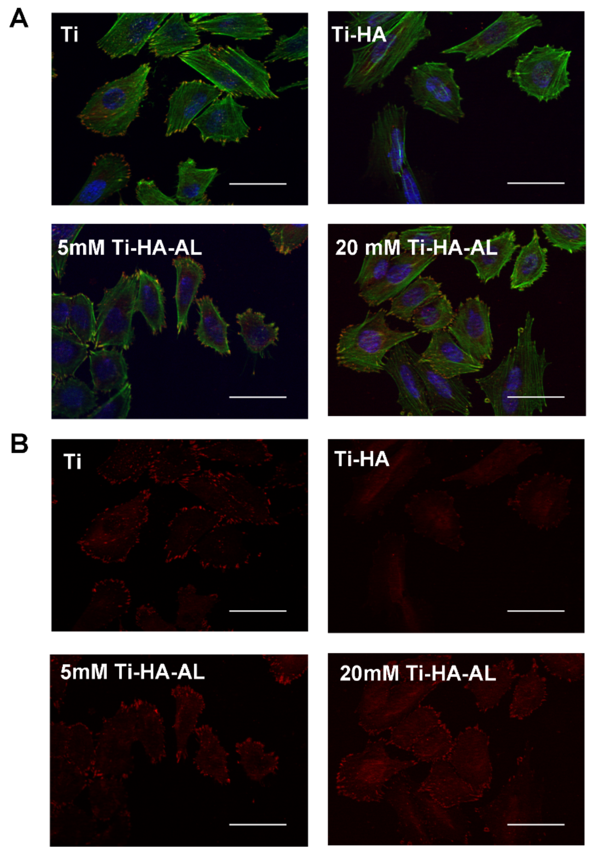 Coatings 09 00782 g007