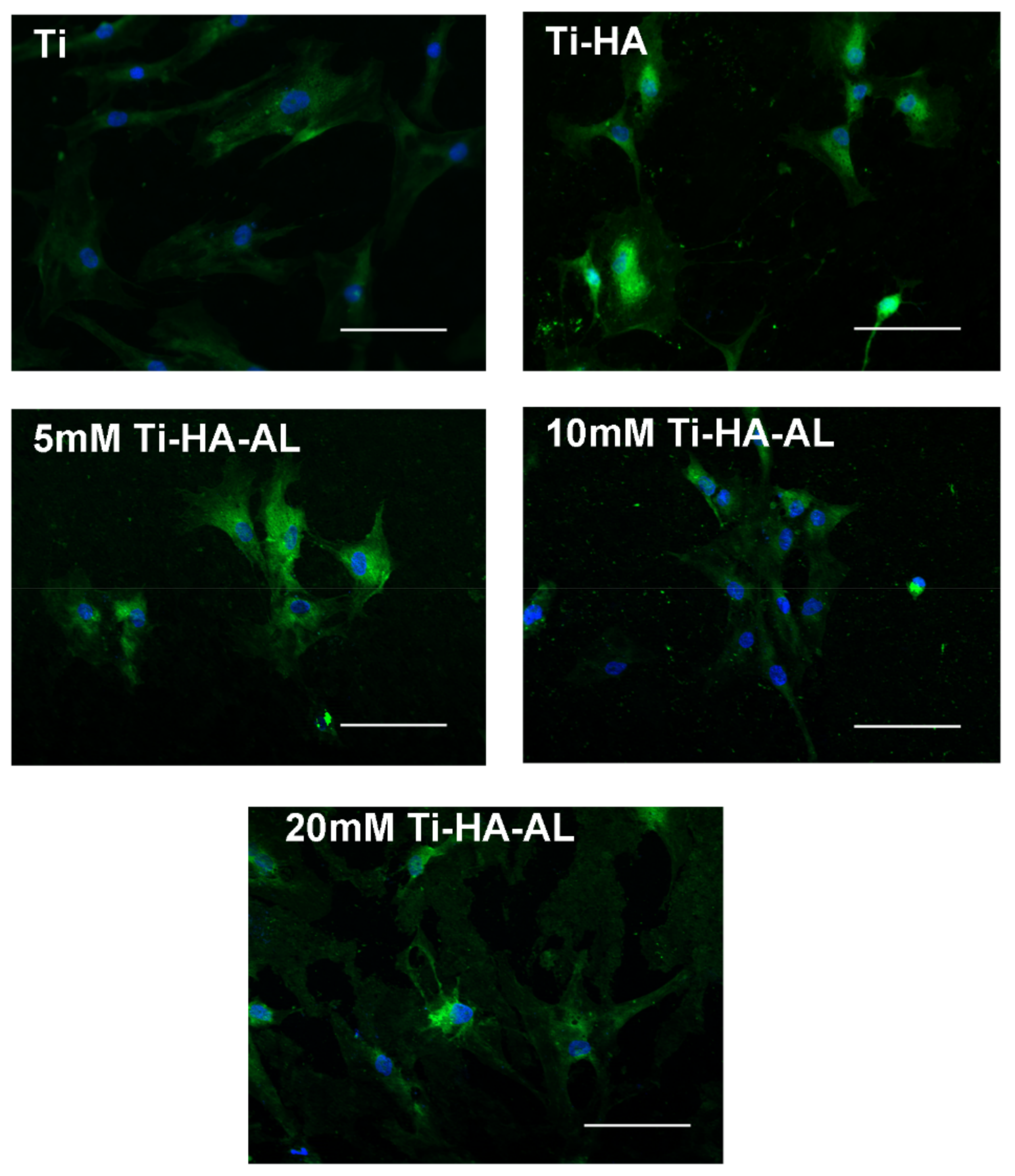 Coatings 09 00782 g009