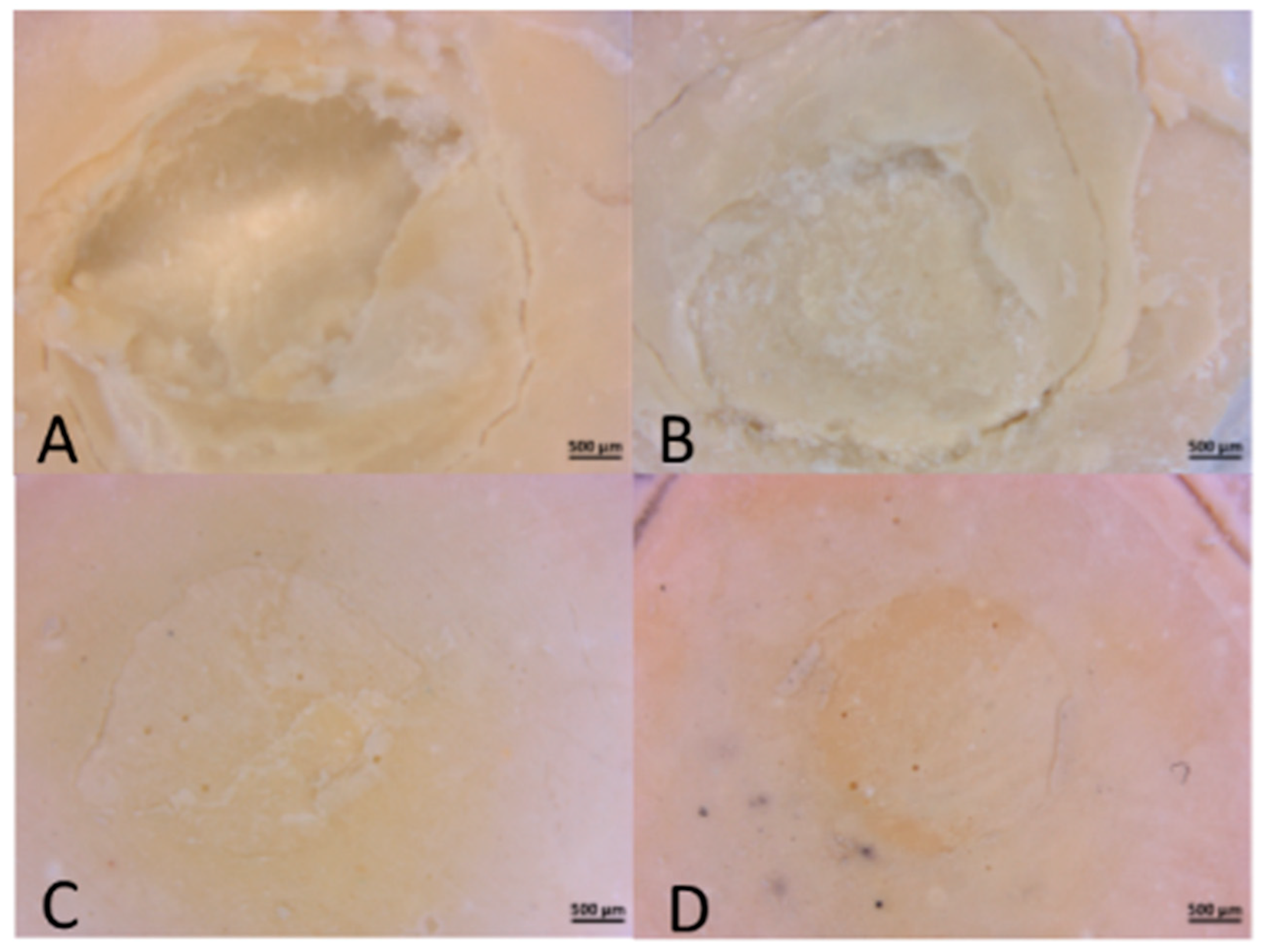 Coatings 09 00783 g002