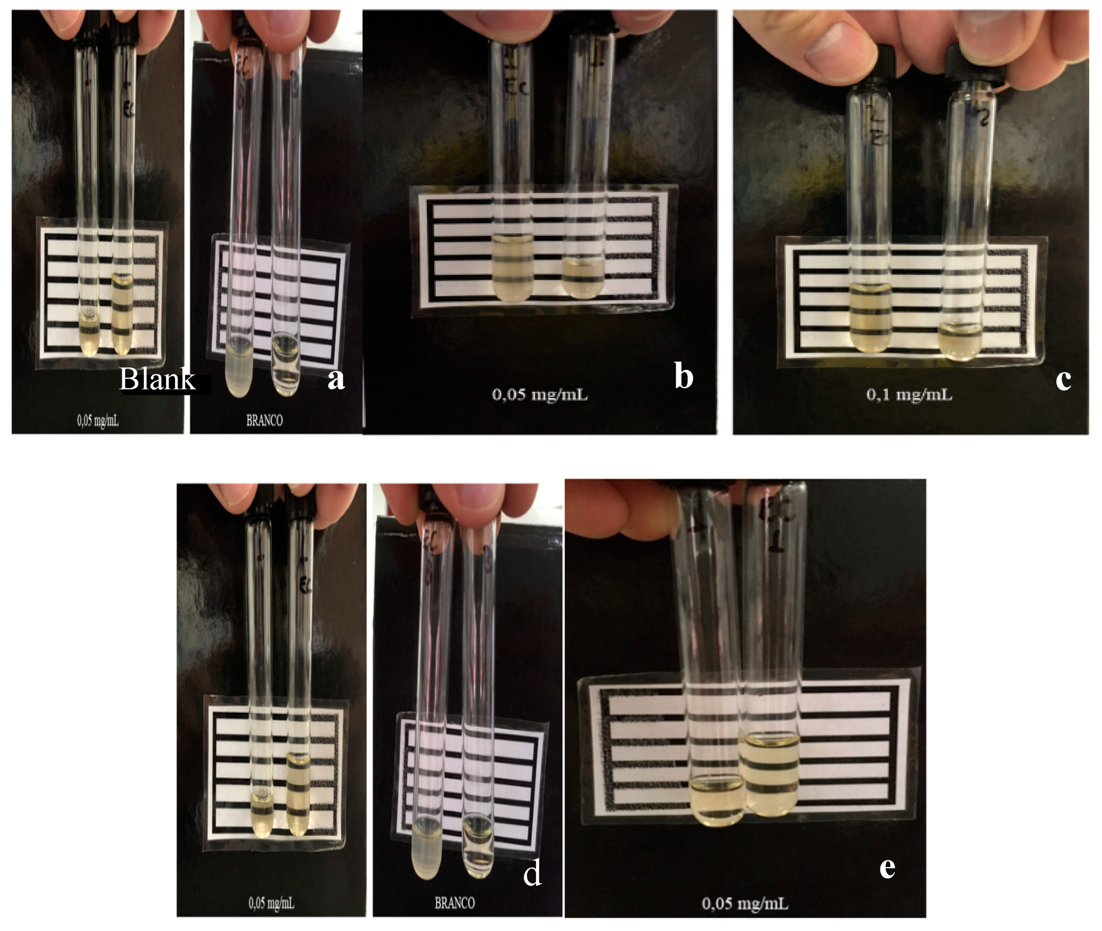 Coatings 09 00786 g003 550