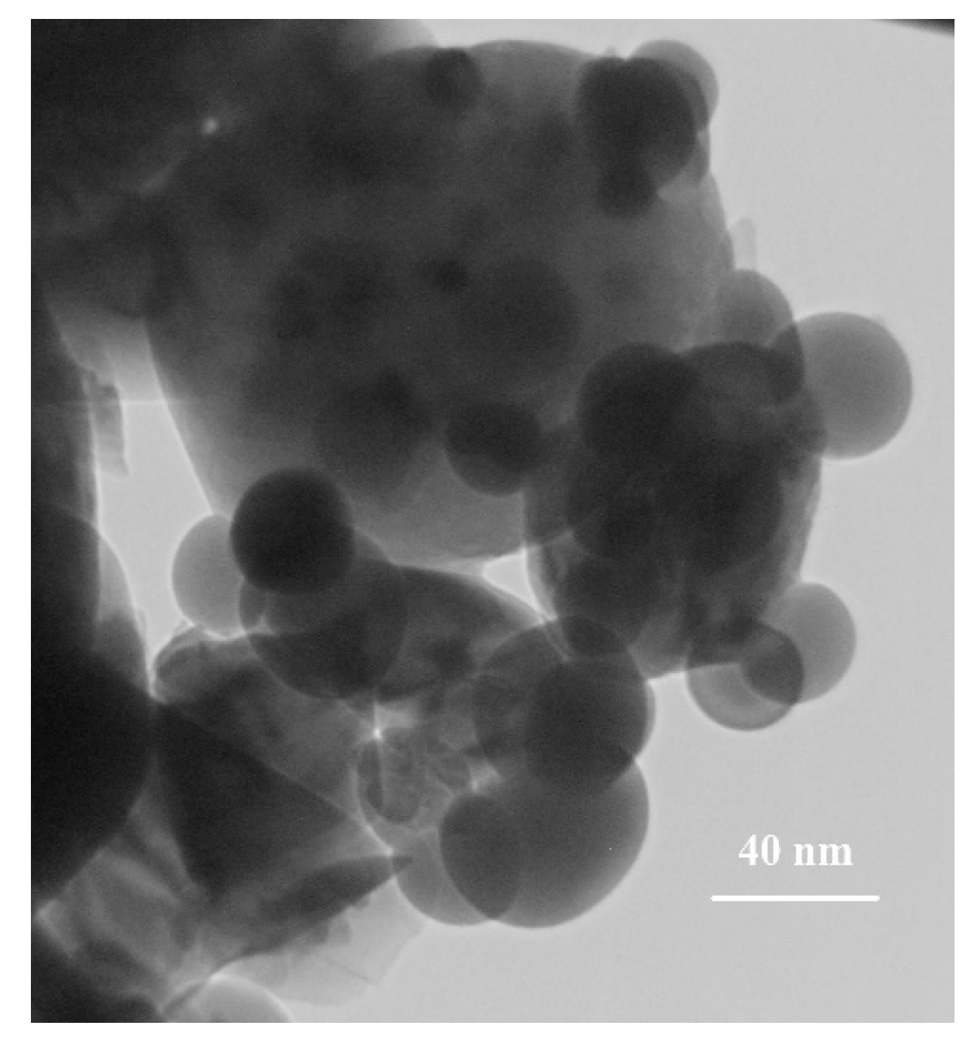 Coatings 09 00789 g001