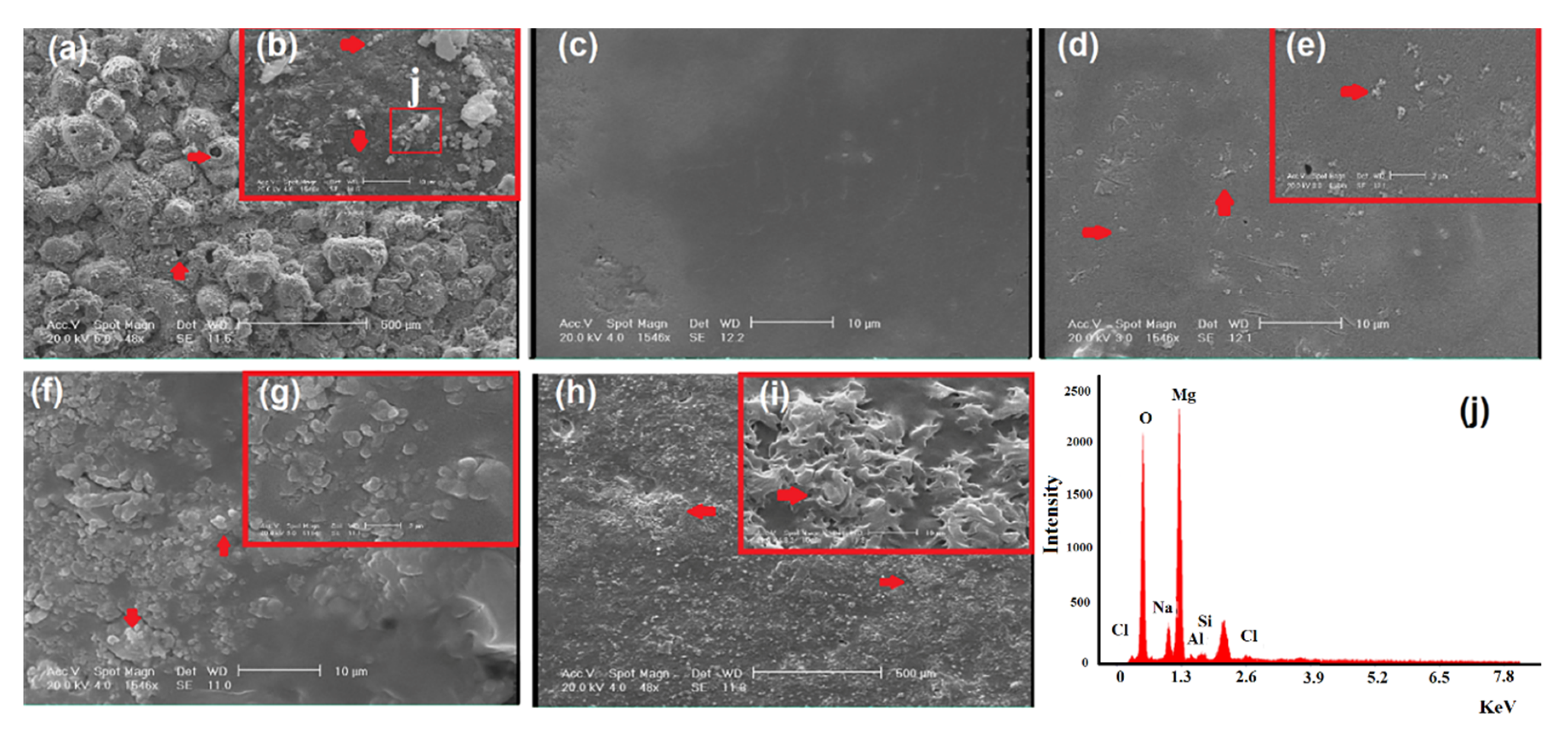 Coatings 09 00789 g003