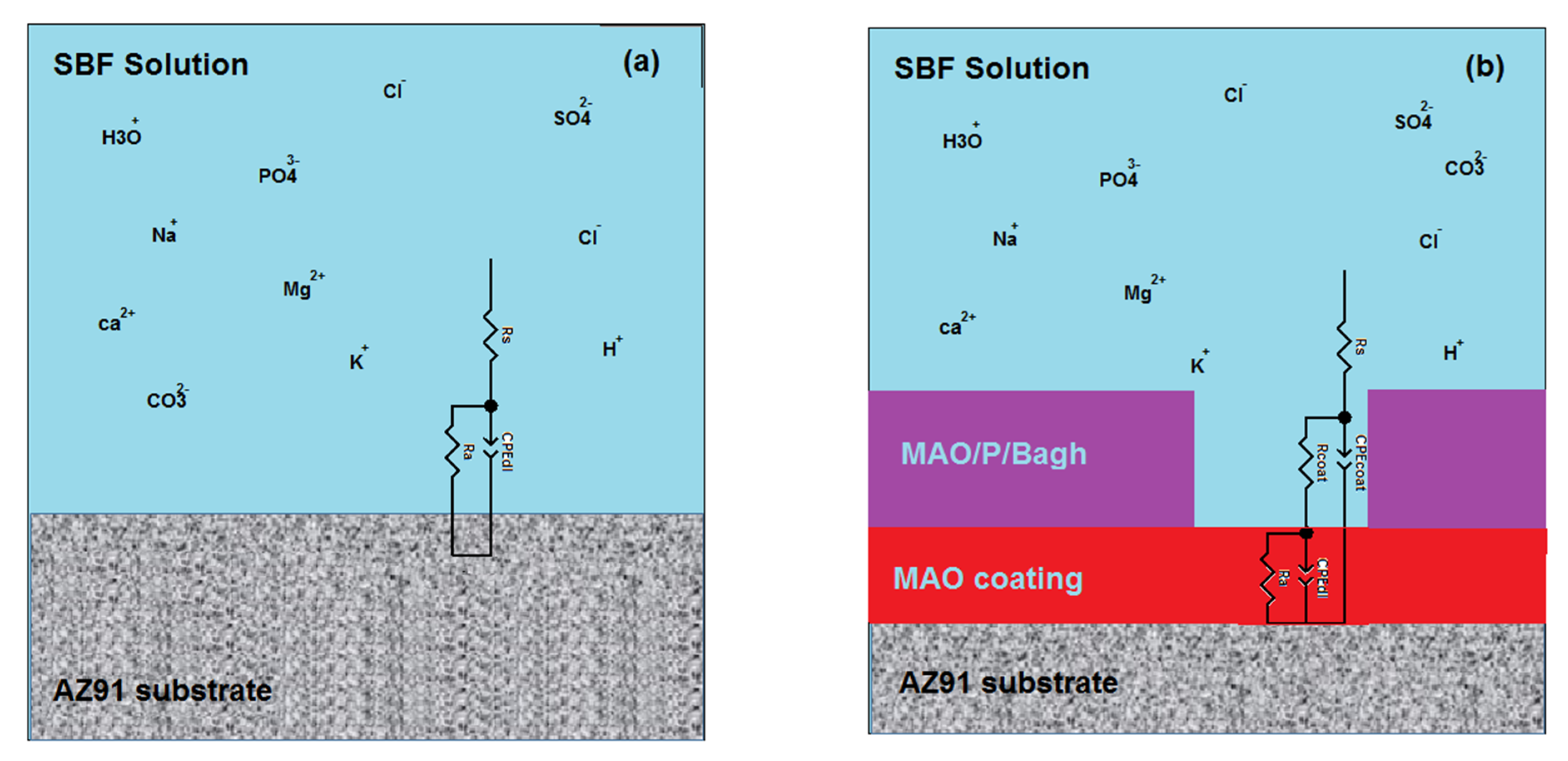 Coatings 09 00789 g008