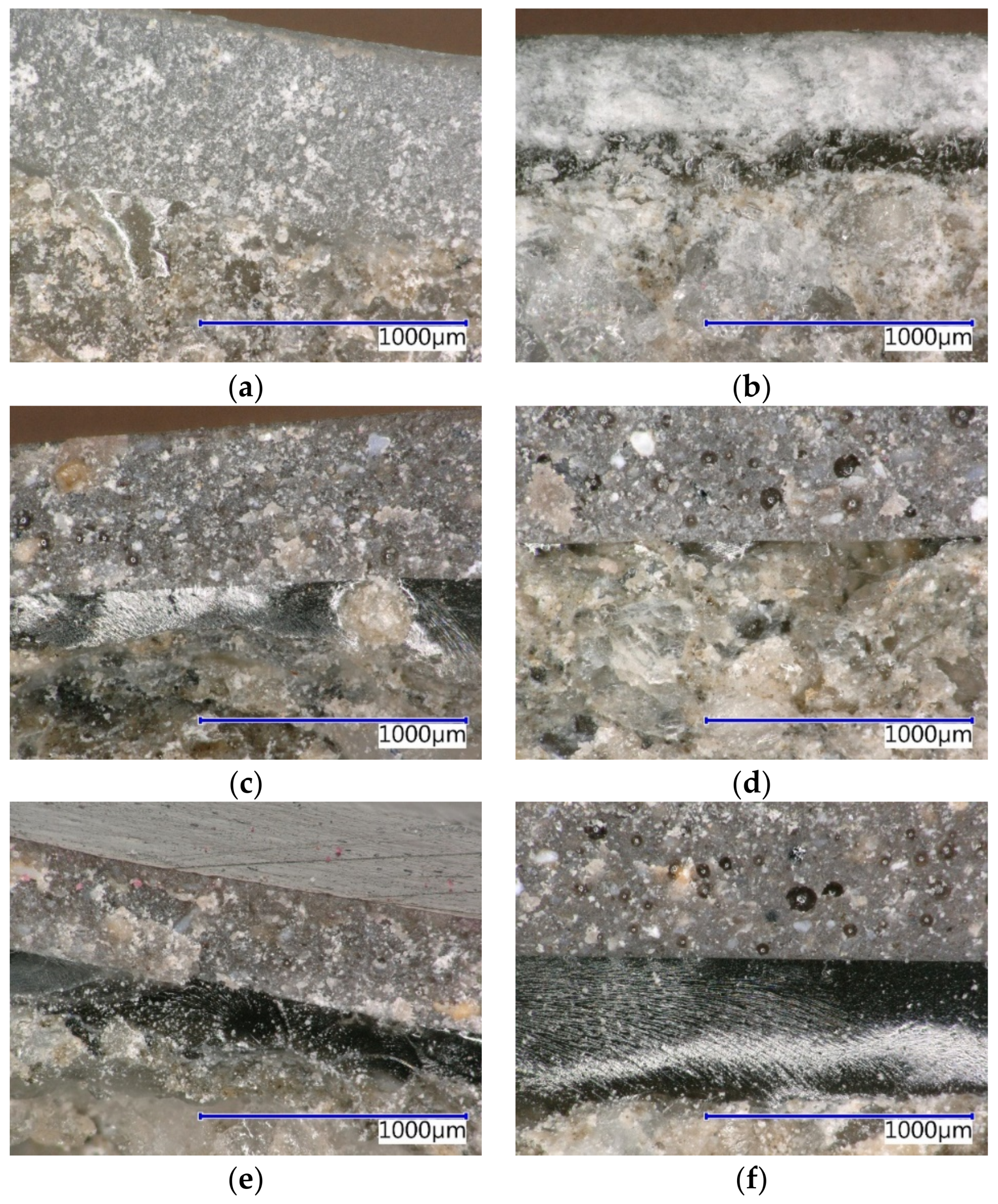 Coatings 09 00793 g011