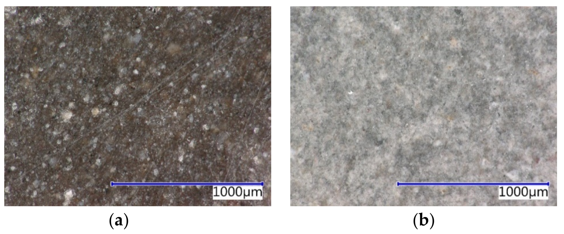 Coatings 09 00793 g013