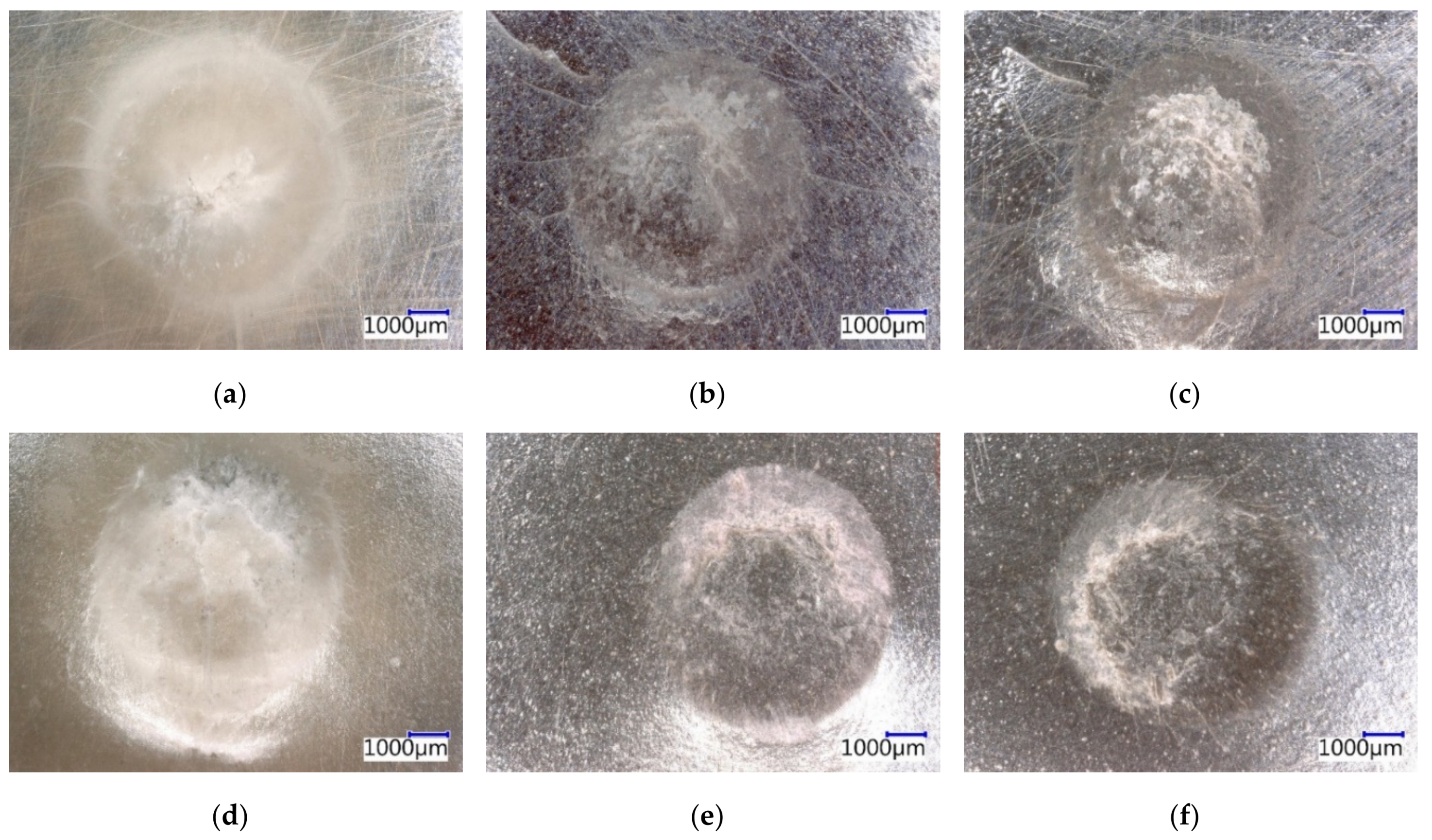Coatings 09 00793 g014