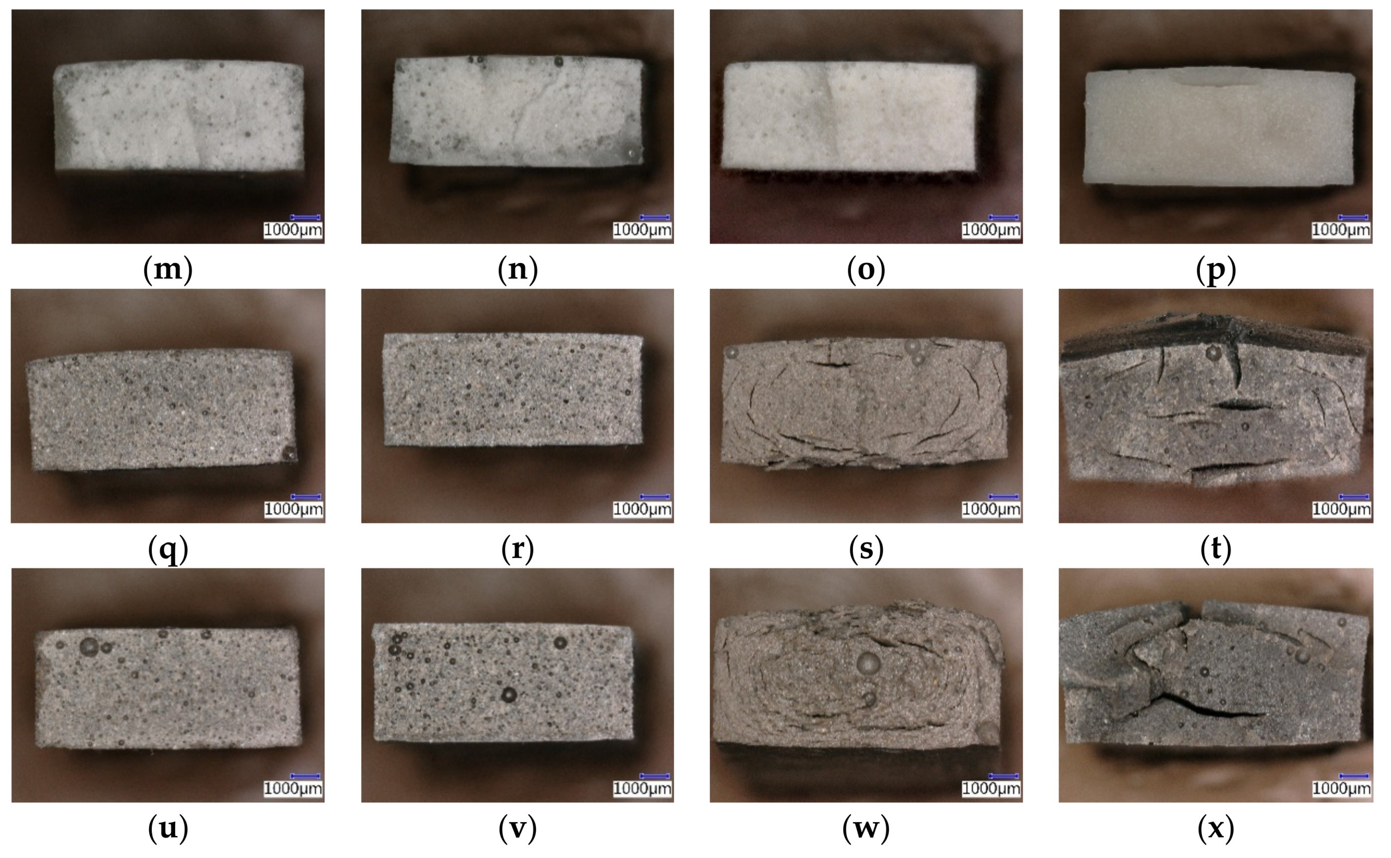 Coatings 09 00793 g017b