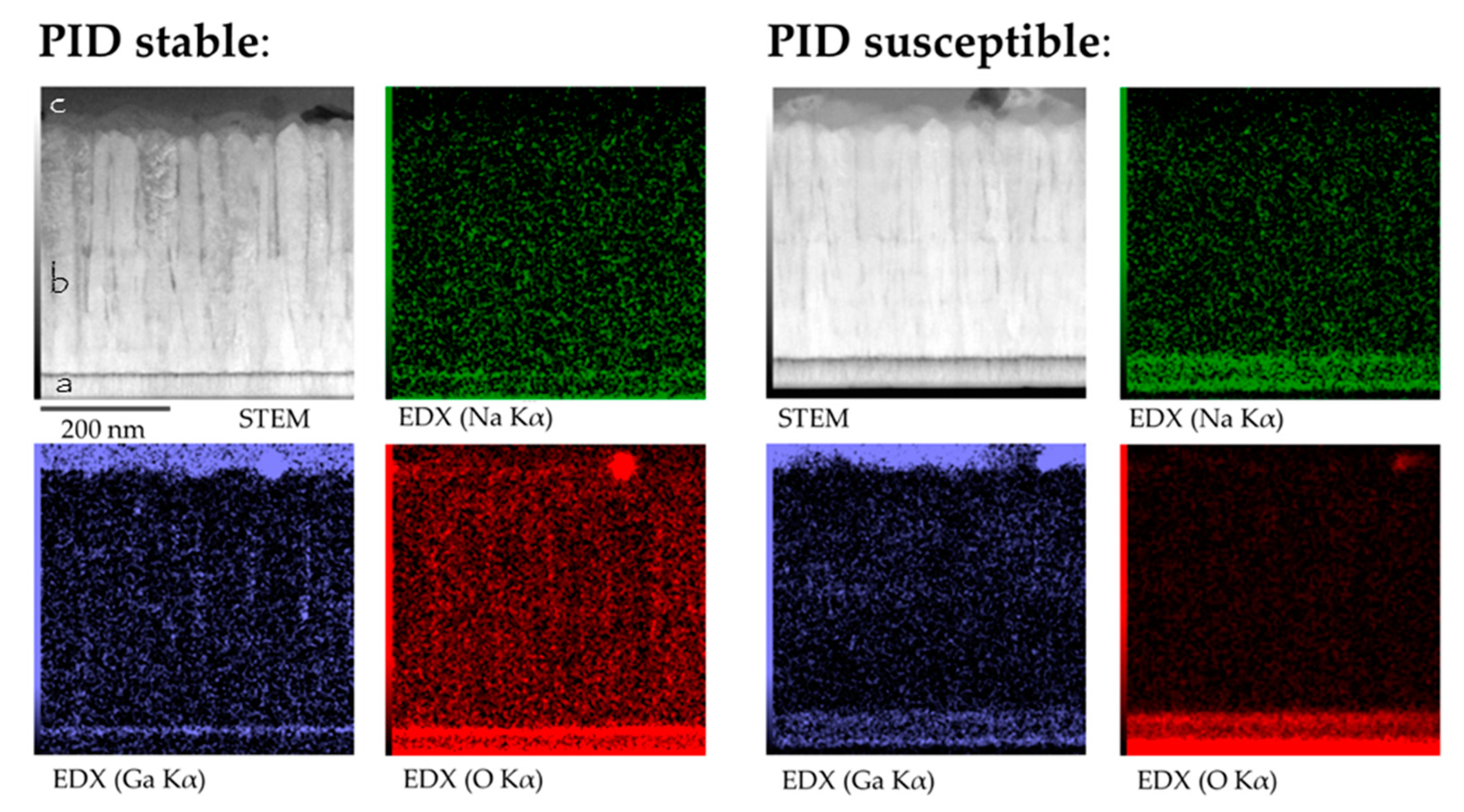 Coatings 09 00794 g004 550