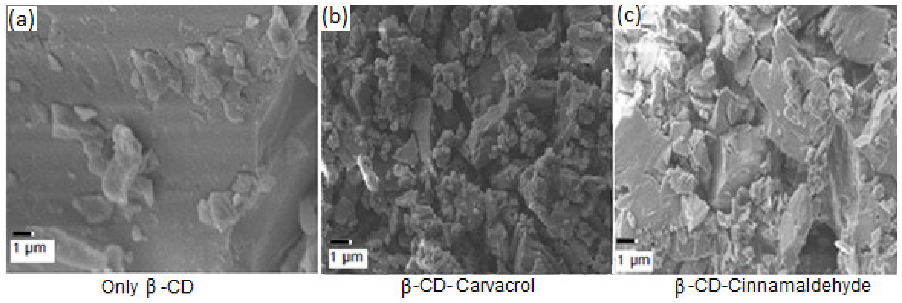 Coatings 09 00795 g001 Coatings 09 00795 g001