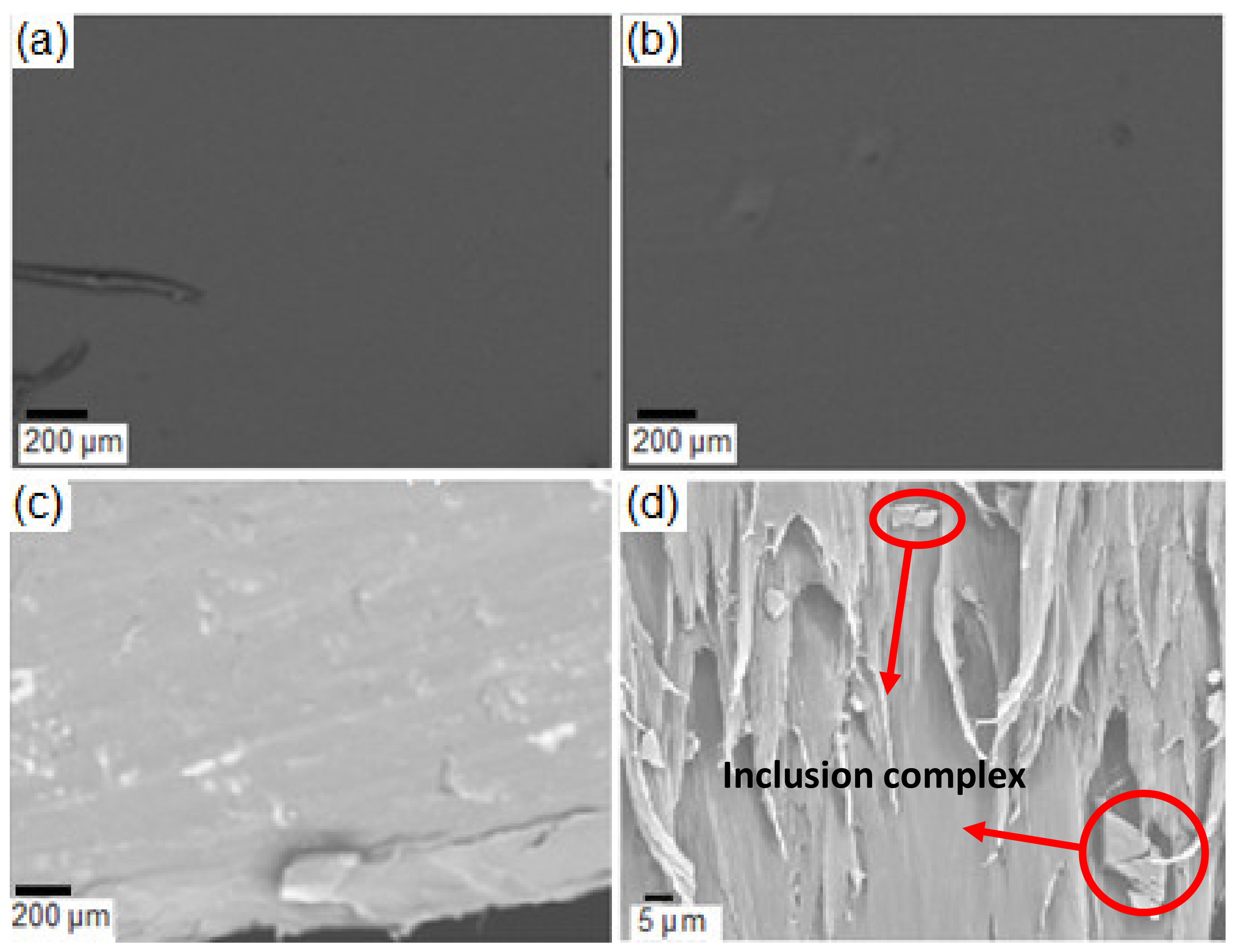 Coatings 09 00795 g004 Coatings 09 00795 g004