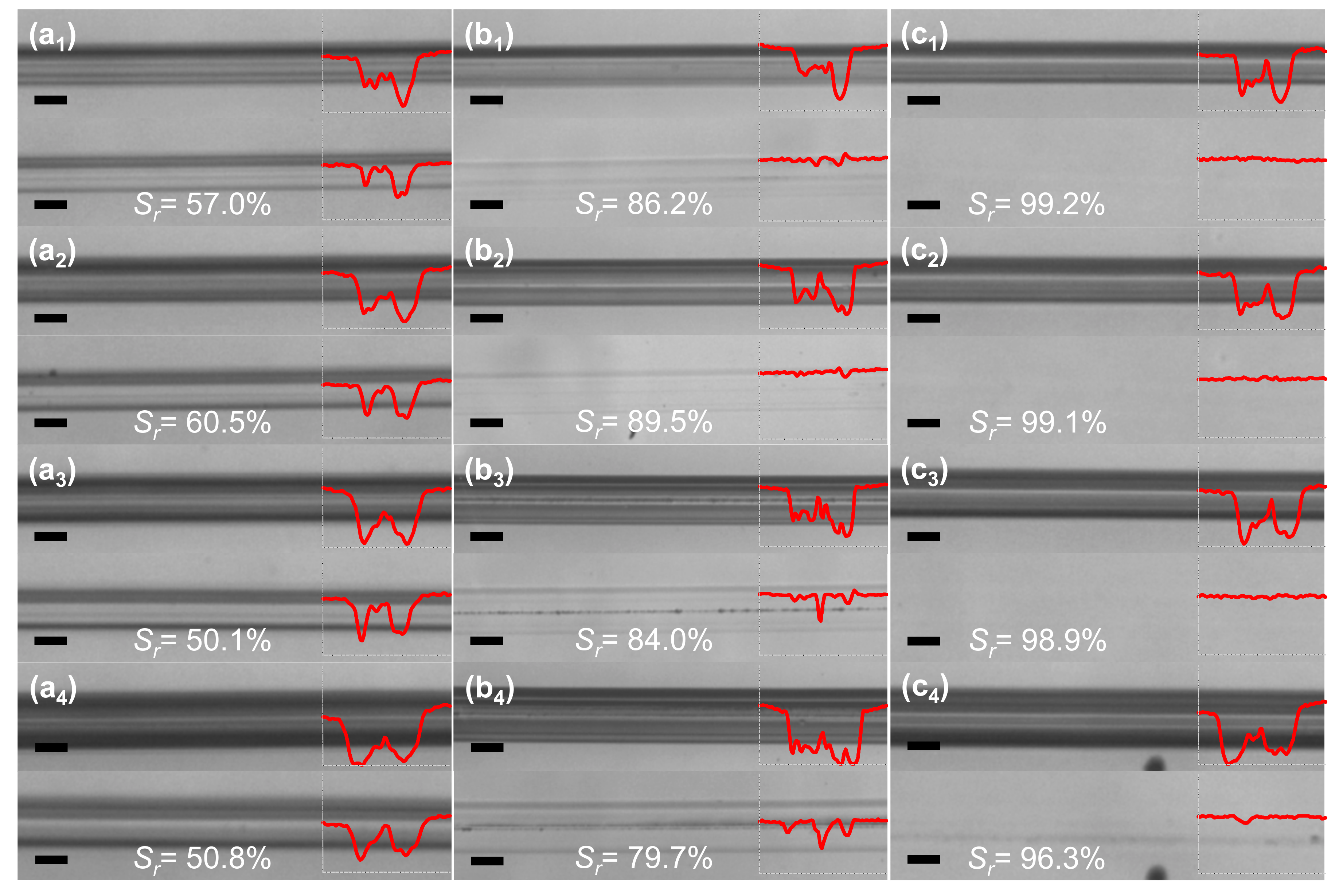 Coatings 09 00796 g001 550