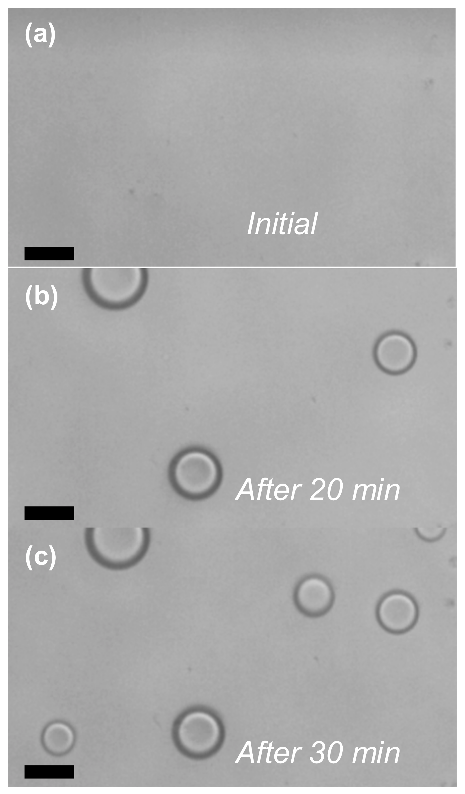 Coatings 09 00796 g003 550