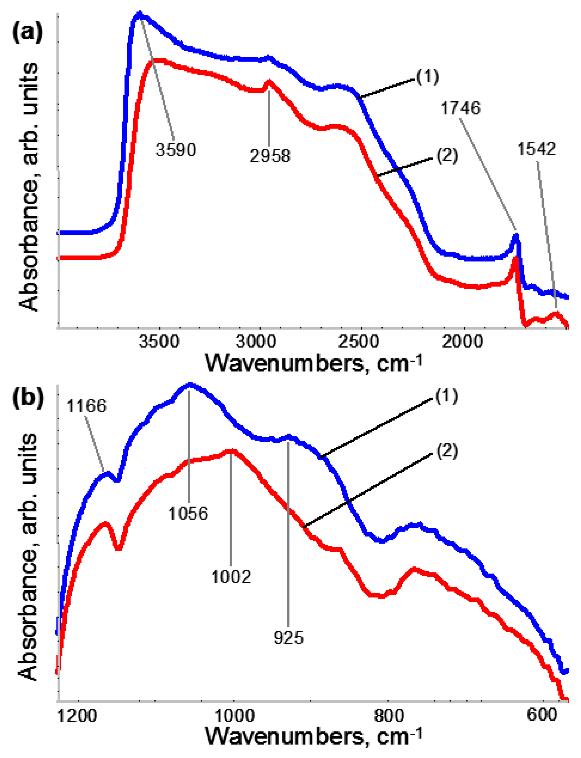 Coatings 09 00796 g005 550