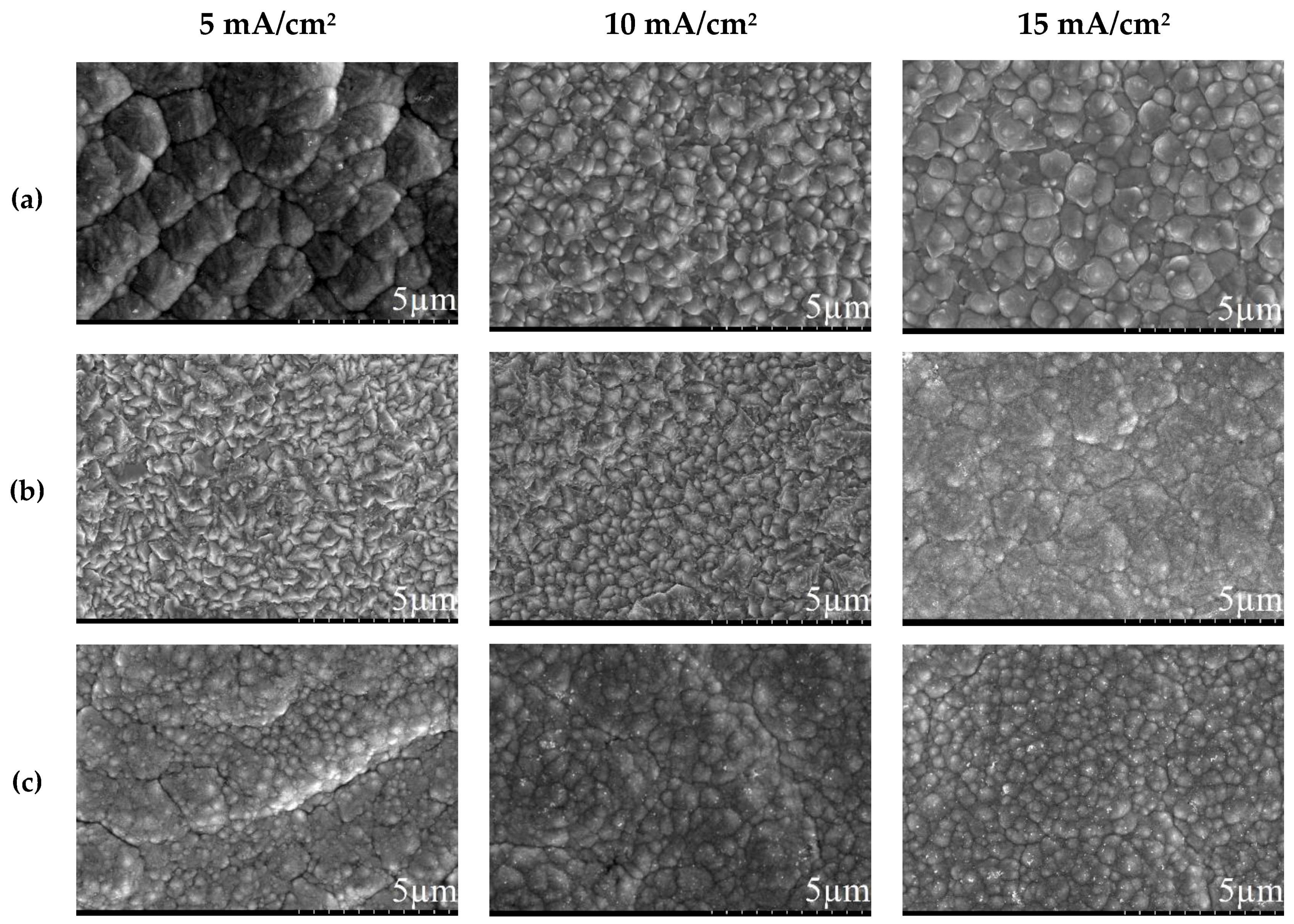 Coatings 09 00801 g001 Coatings 09 00801 g001