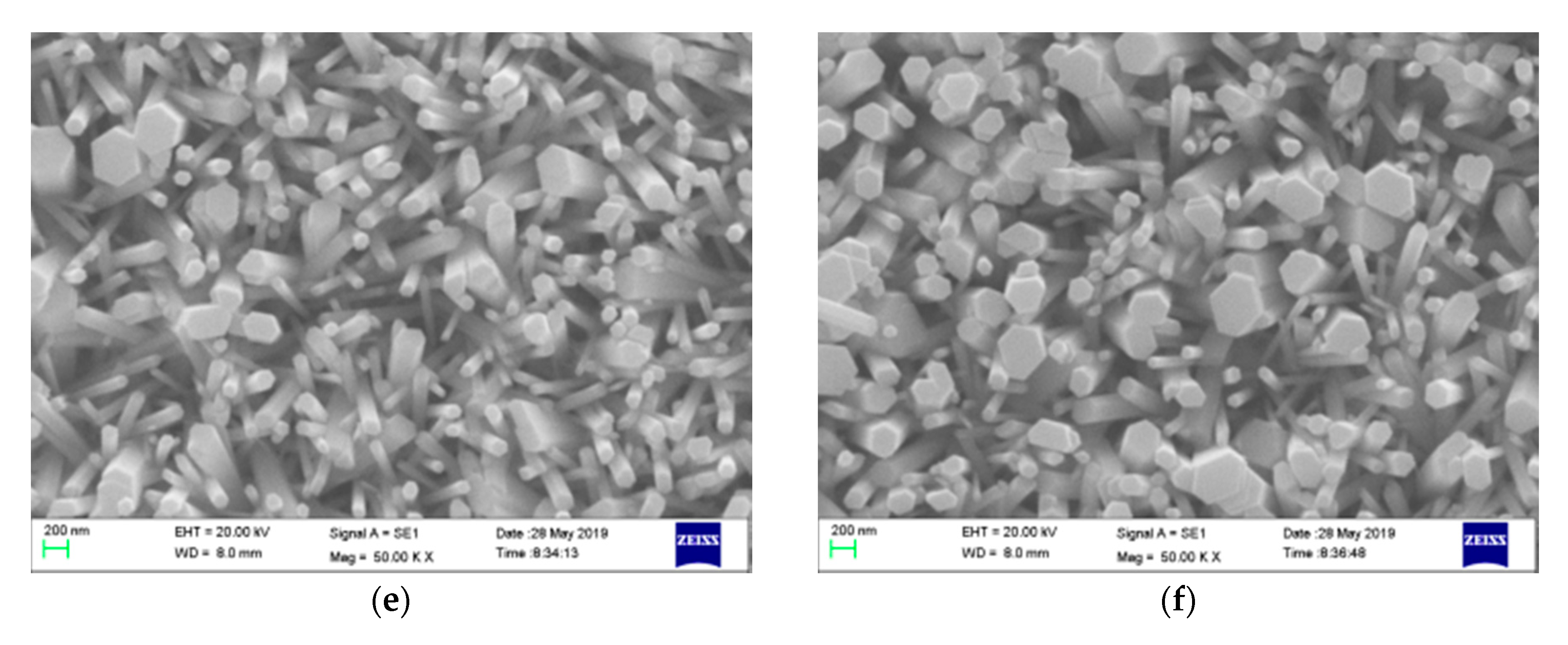 Coatings 09 00803 g002b
