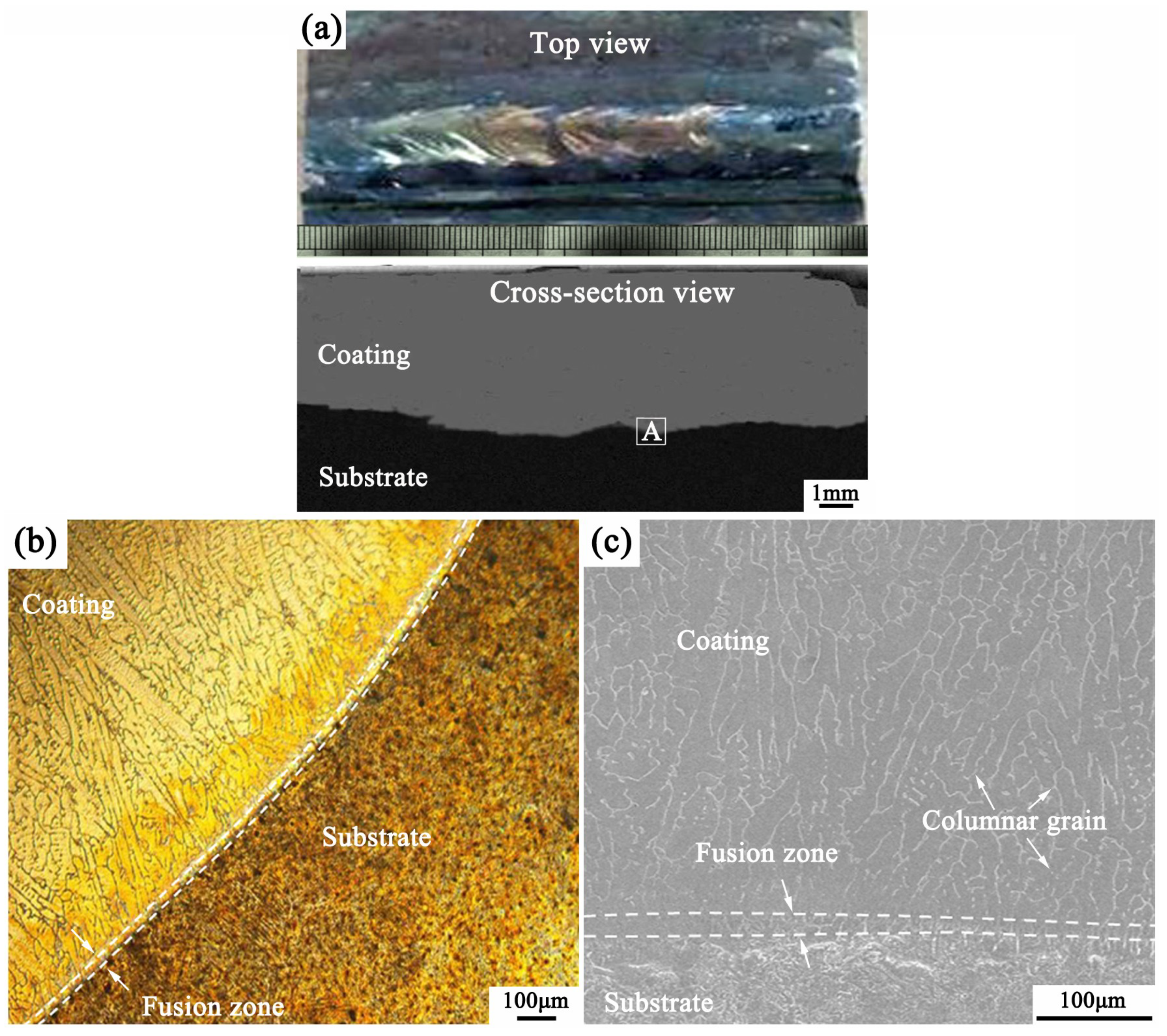 Coatings 09 00804 g003