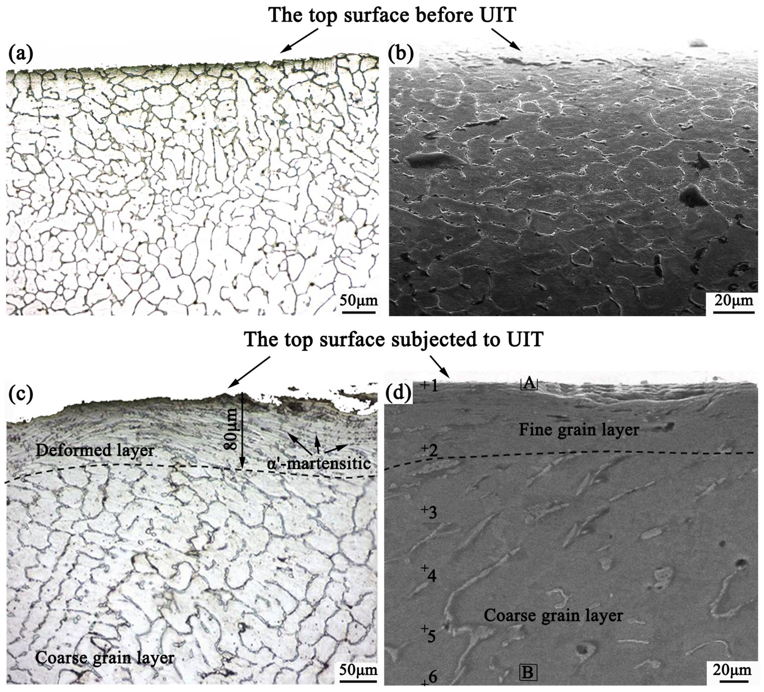 Coatings 09 00804 g005