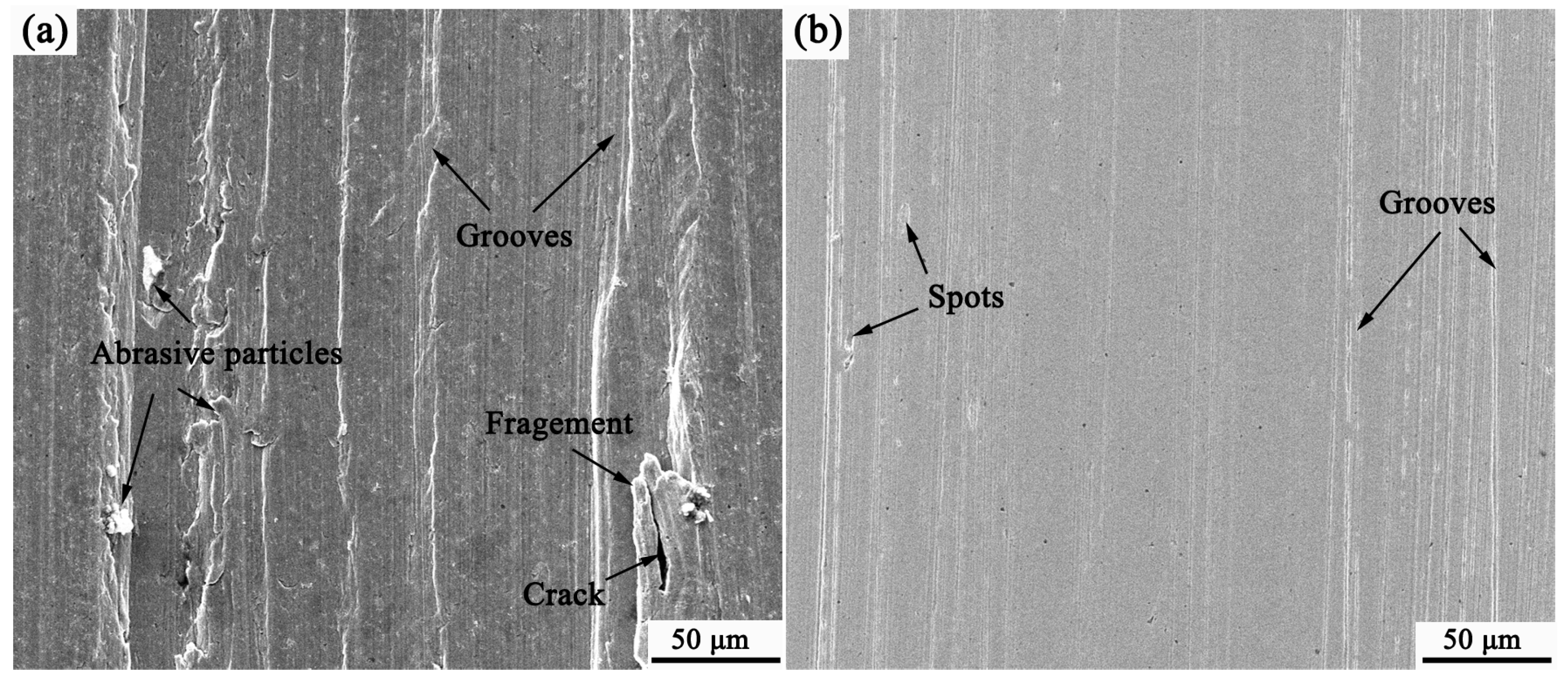 Coatings 09 00804 g011