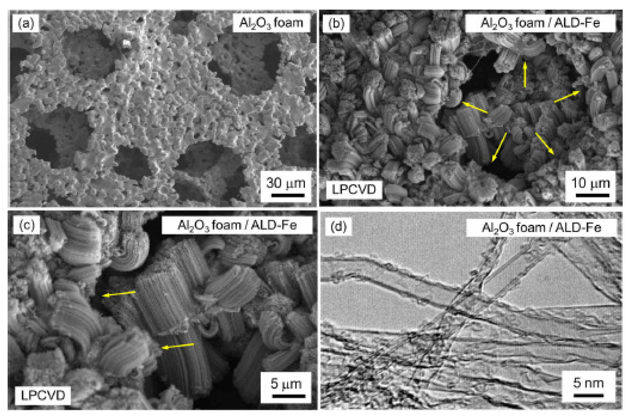 Coatings 09 00806 g005 Coatings 09 00806 g005