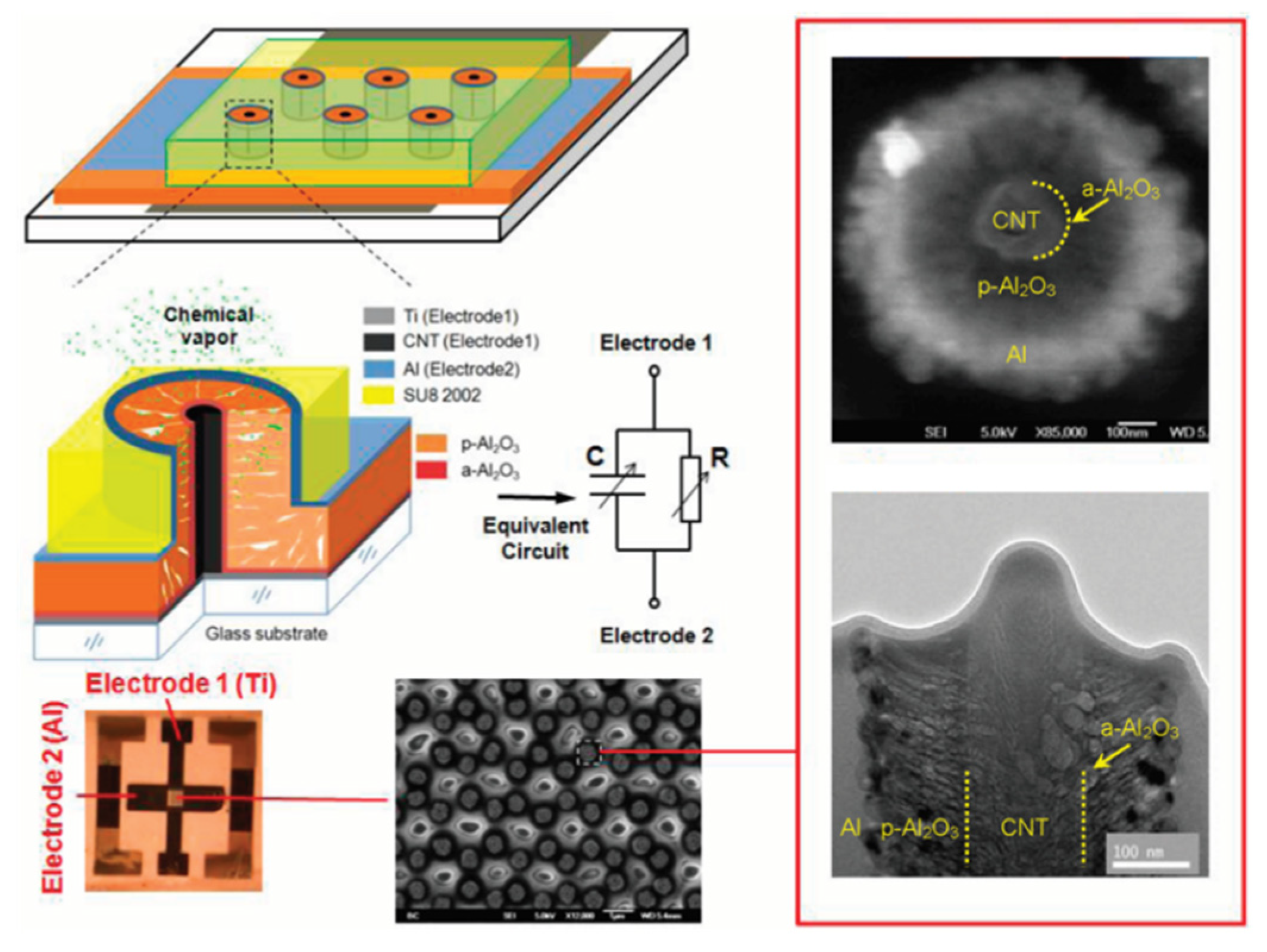 Coatings 09 00806 g009 Coatings 09 00806 g009