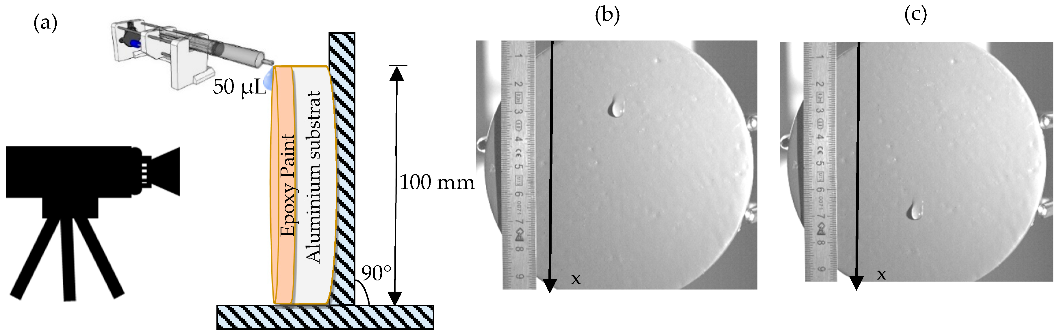 Coatings 09 00808 g003