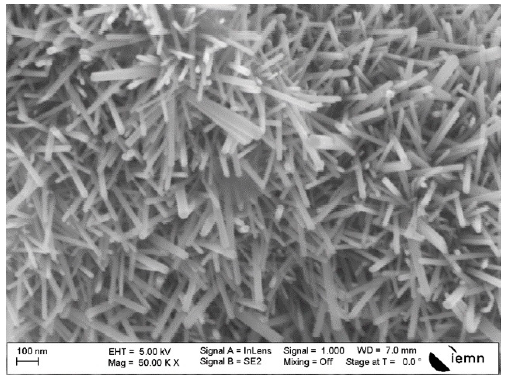 Coatings 09 00808 g007