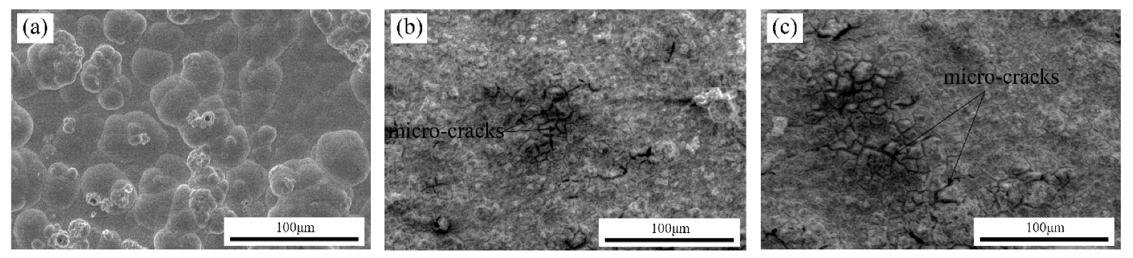 Coatings 09 00815 g007