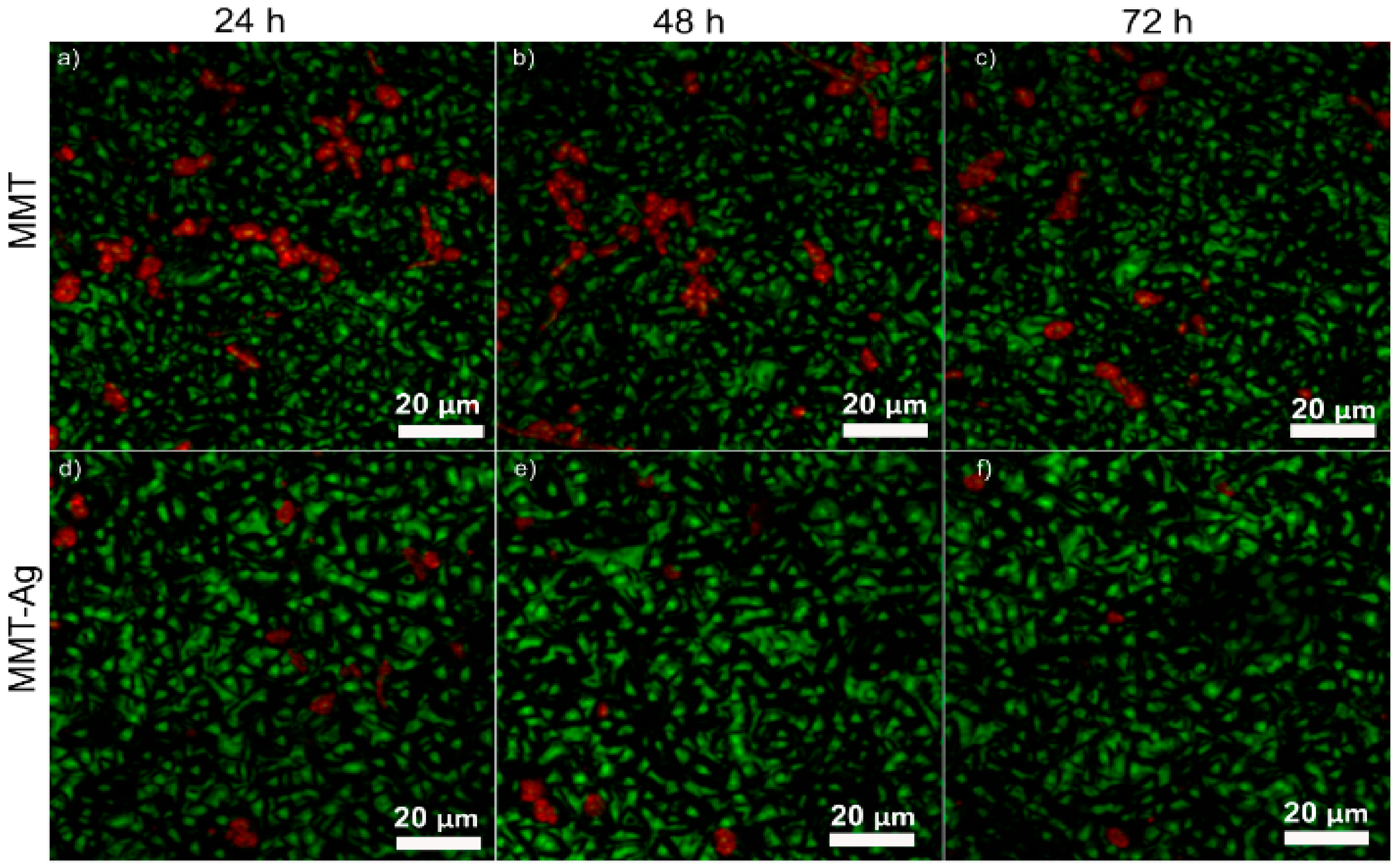 Coatings 09 00817 g008 Coatings 09 00817 g008