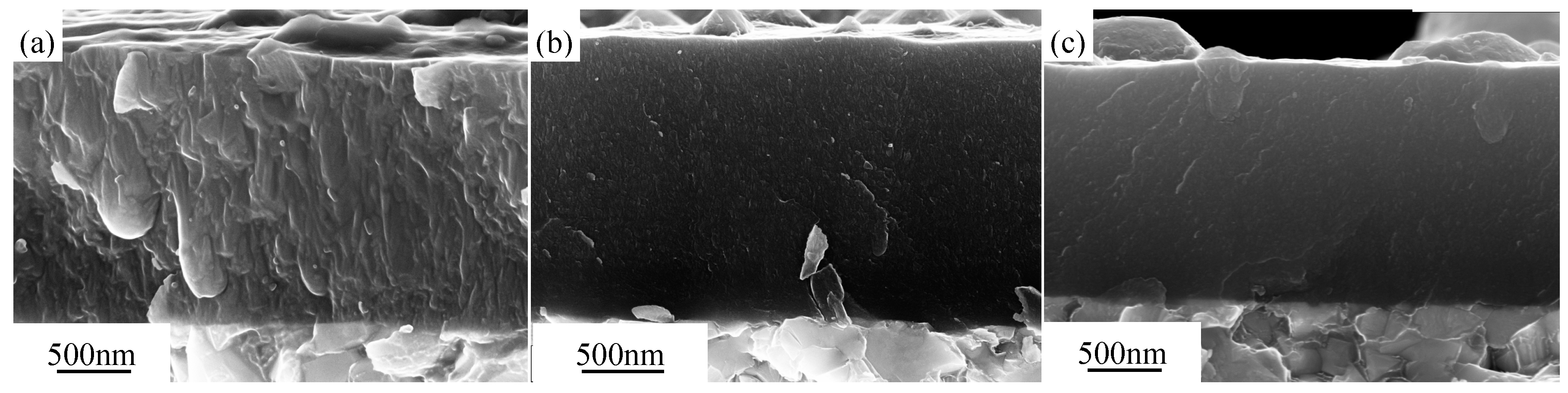Coatings 09 00818 g002