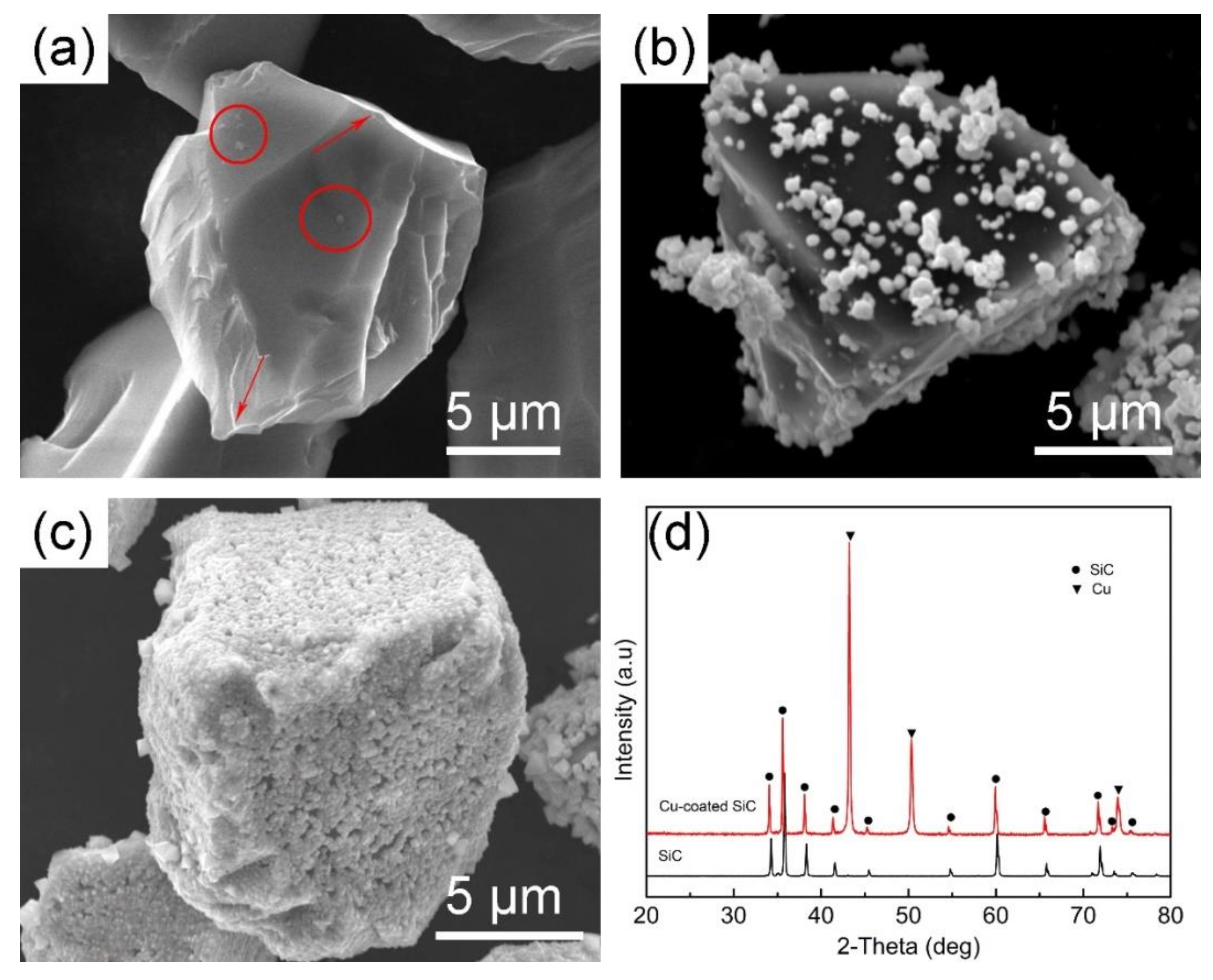 Coatings 09 00820 g002