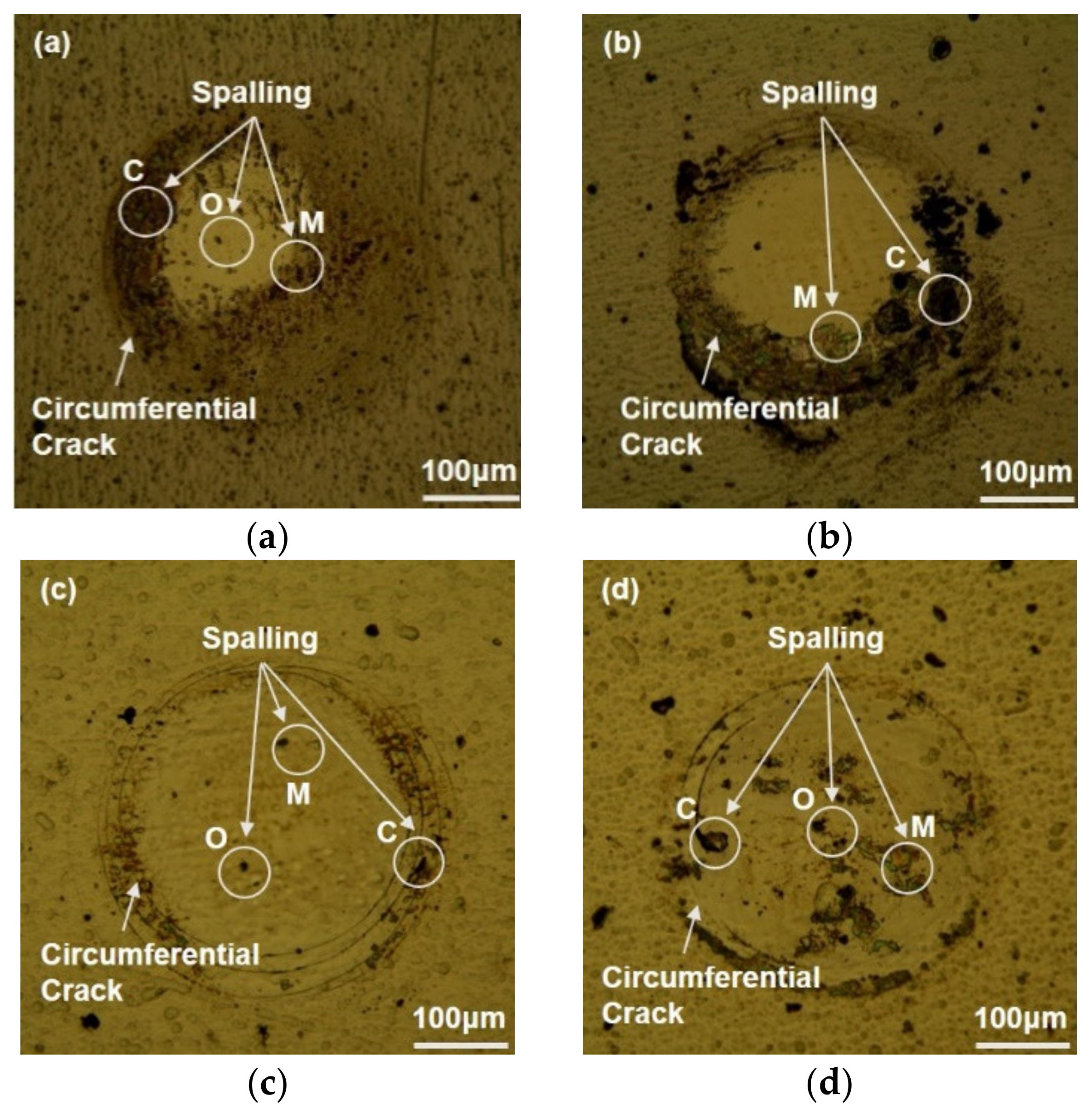 Coatings 09 00821 g007 Coatings 09 00821 g007