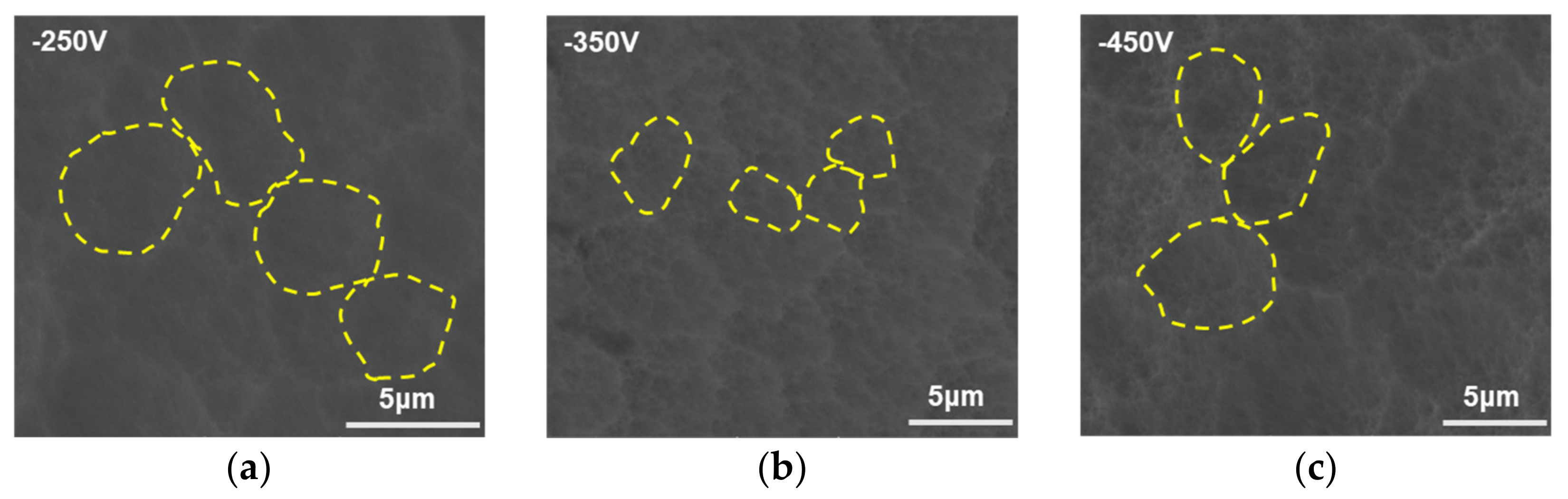 Coatings 09 00821 g012 Coatings 09 00821 g012