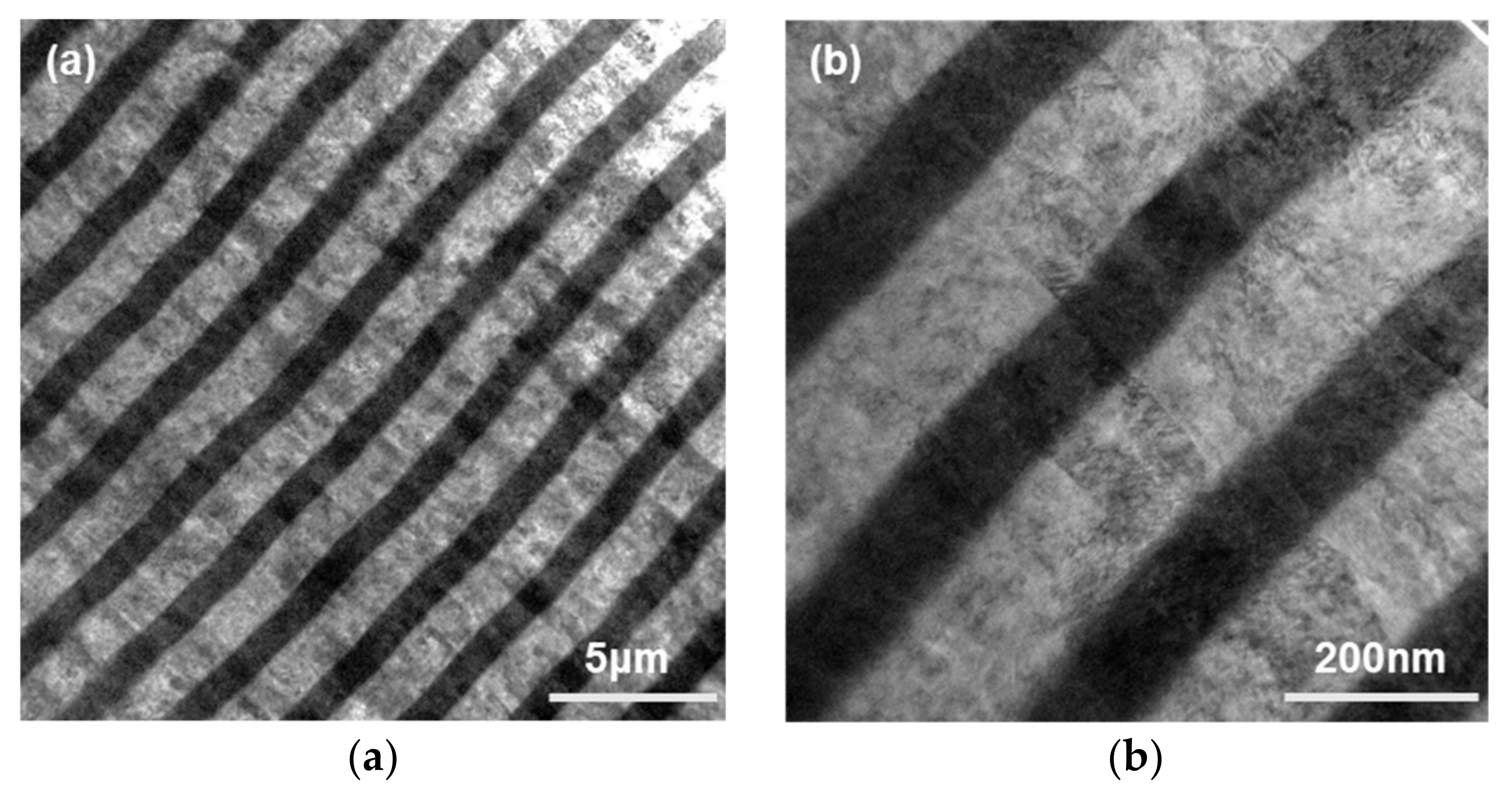 Coatings 09 00821 g013 Coatings 09 00821 g013