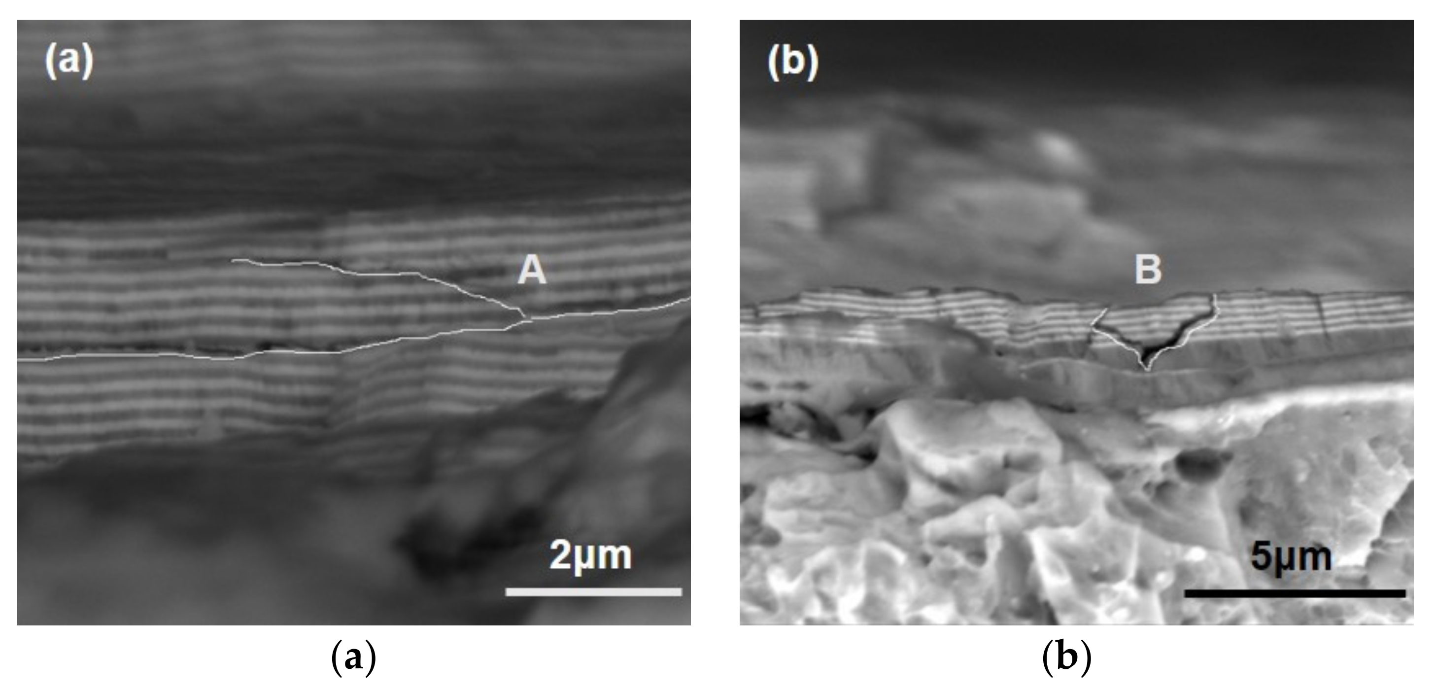 Coatings 09 00821 g014 Coatings 09 00821 g014