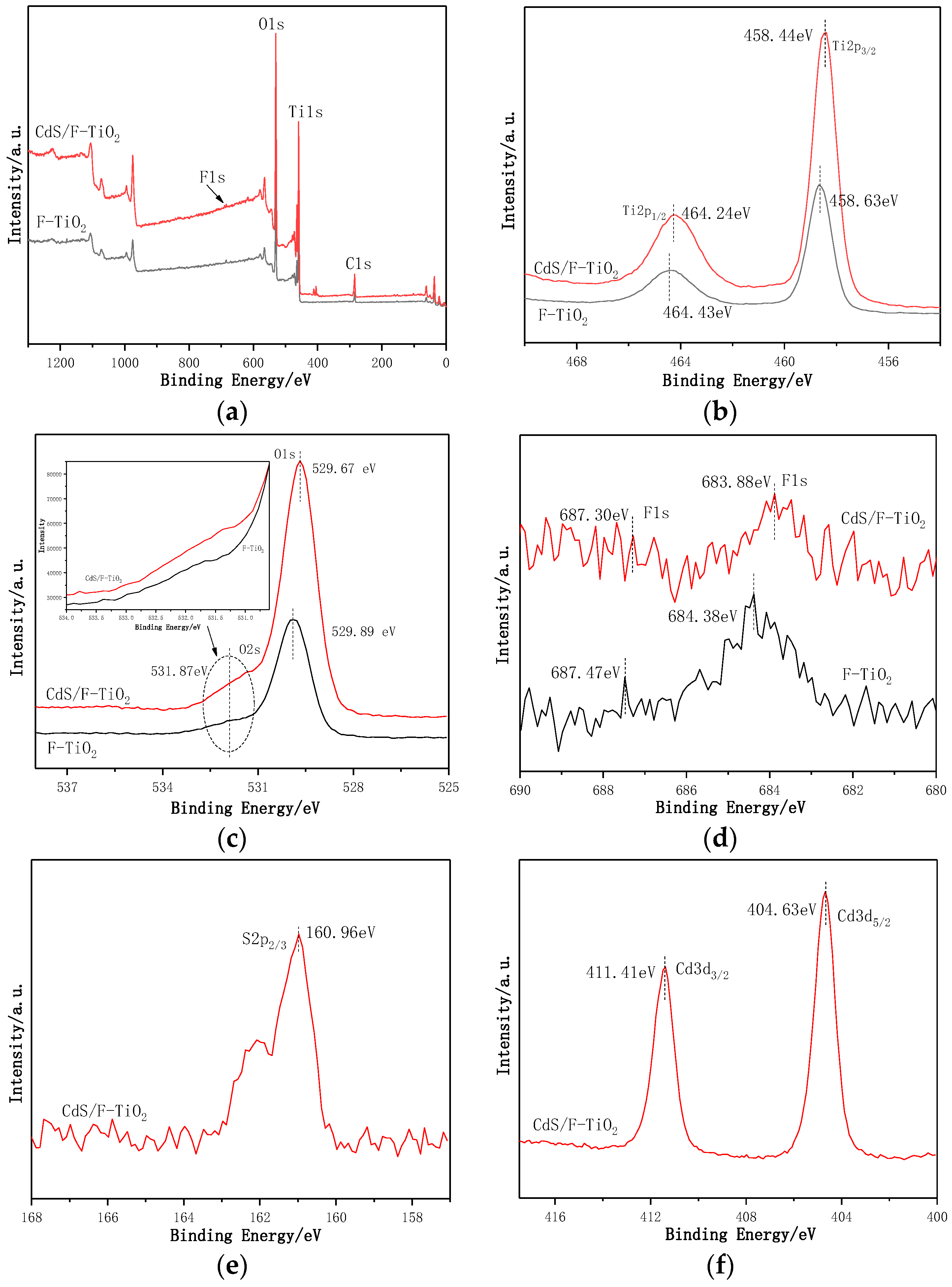 Coatings 09 00824 g007