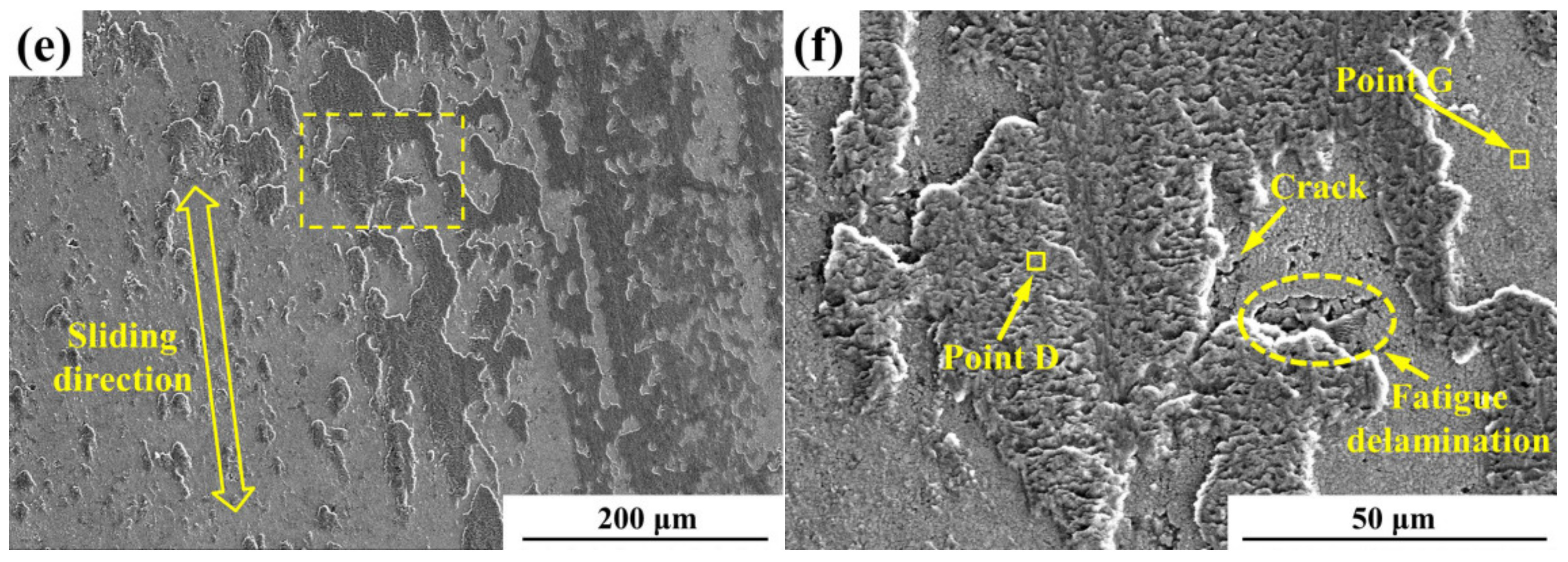 Coatings 09 00825 g005b