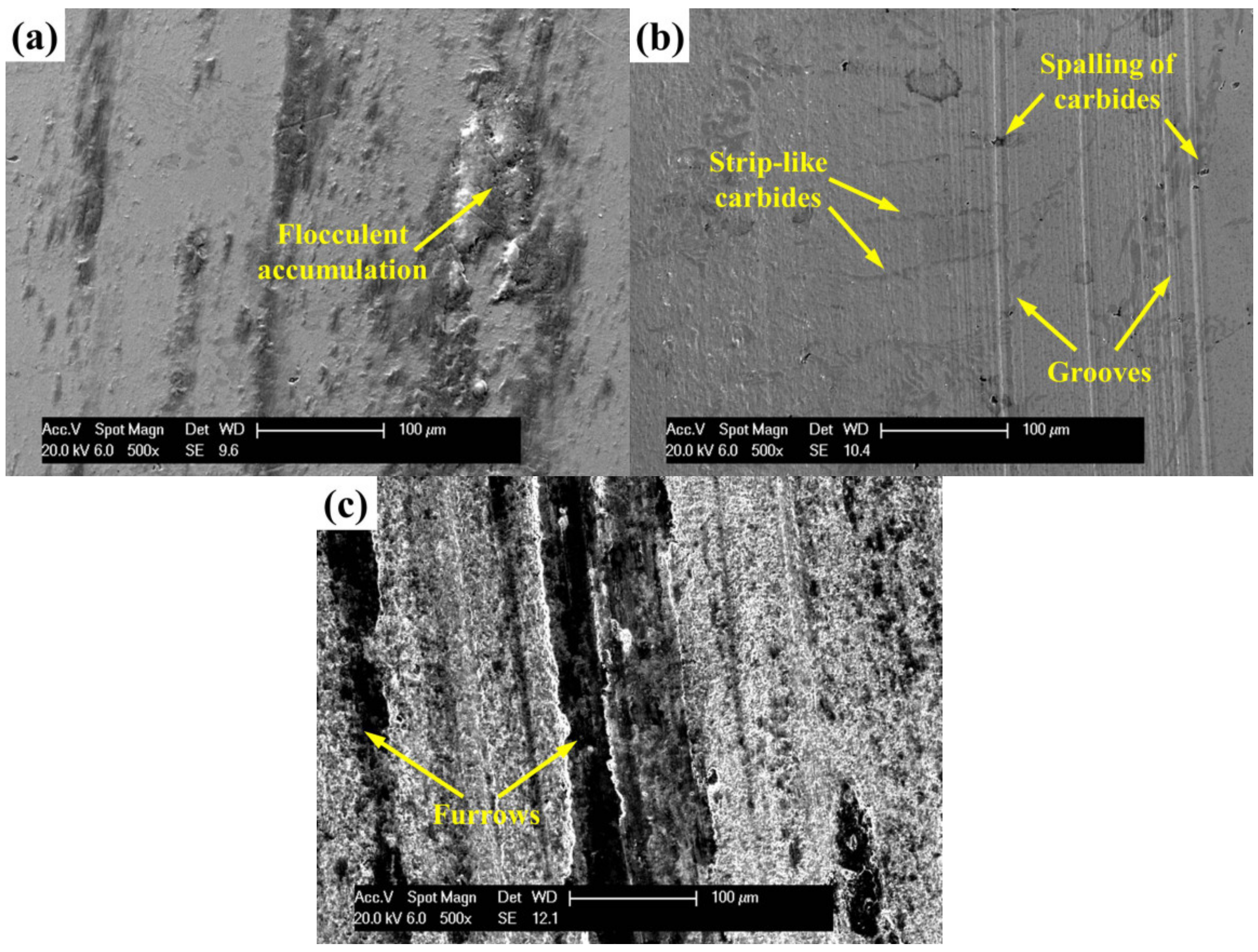 Coatings 09 00825 g006