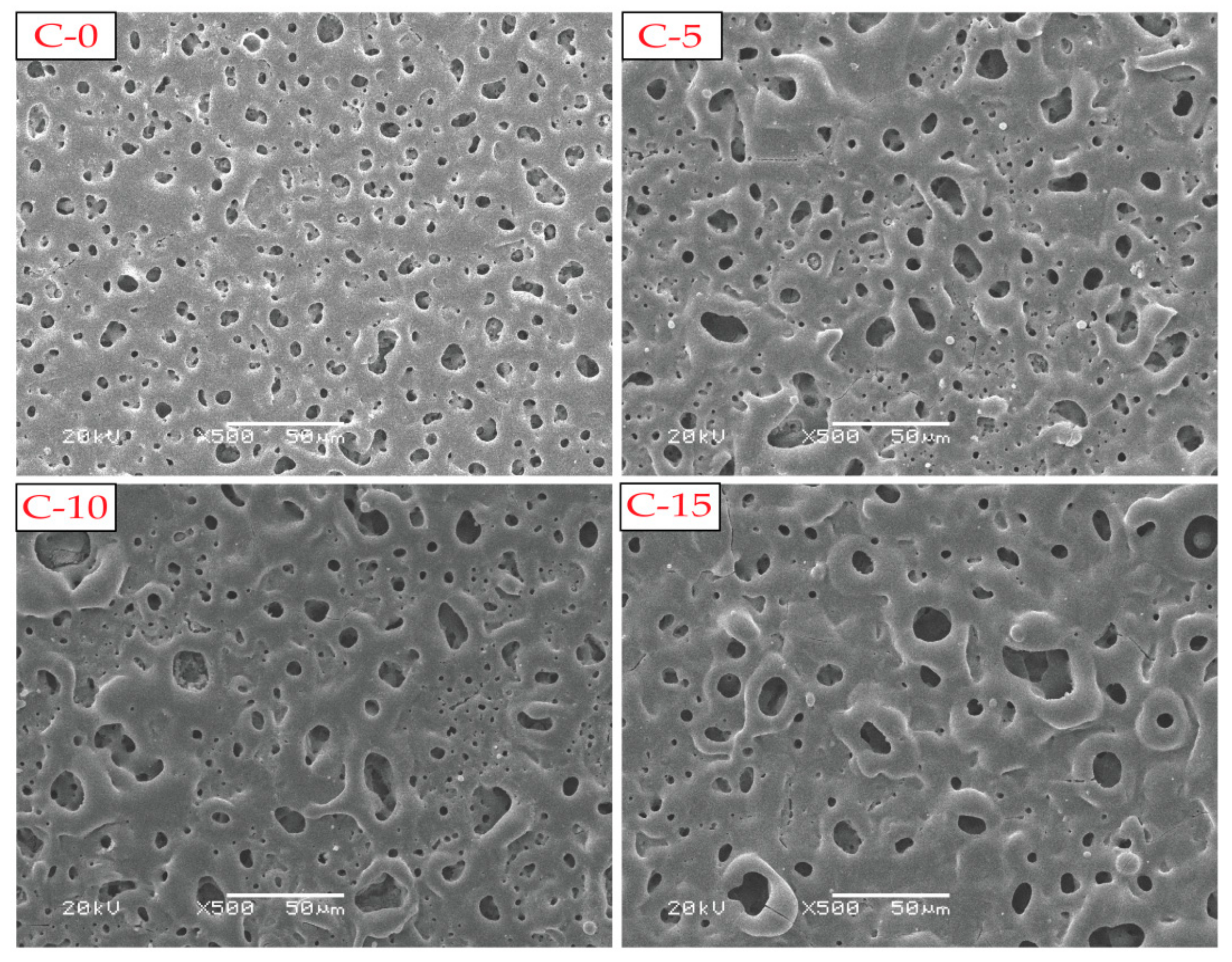 Coatings 09 00826 g002