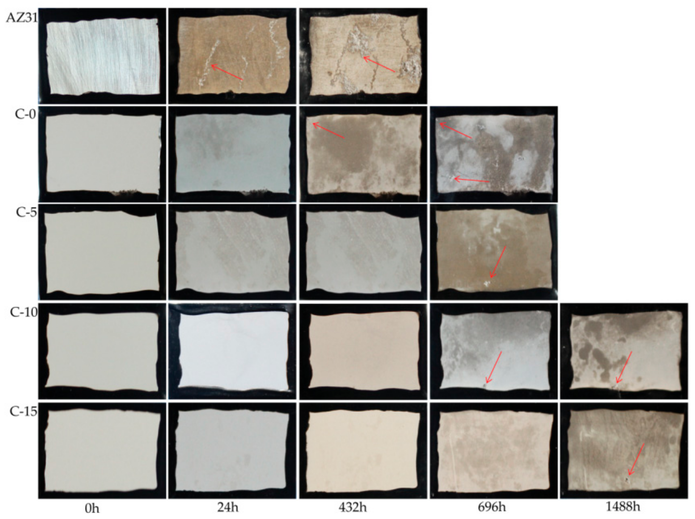 Coatings 09 00826 g008