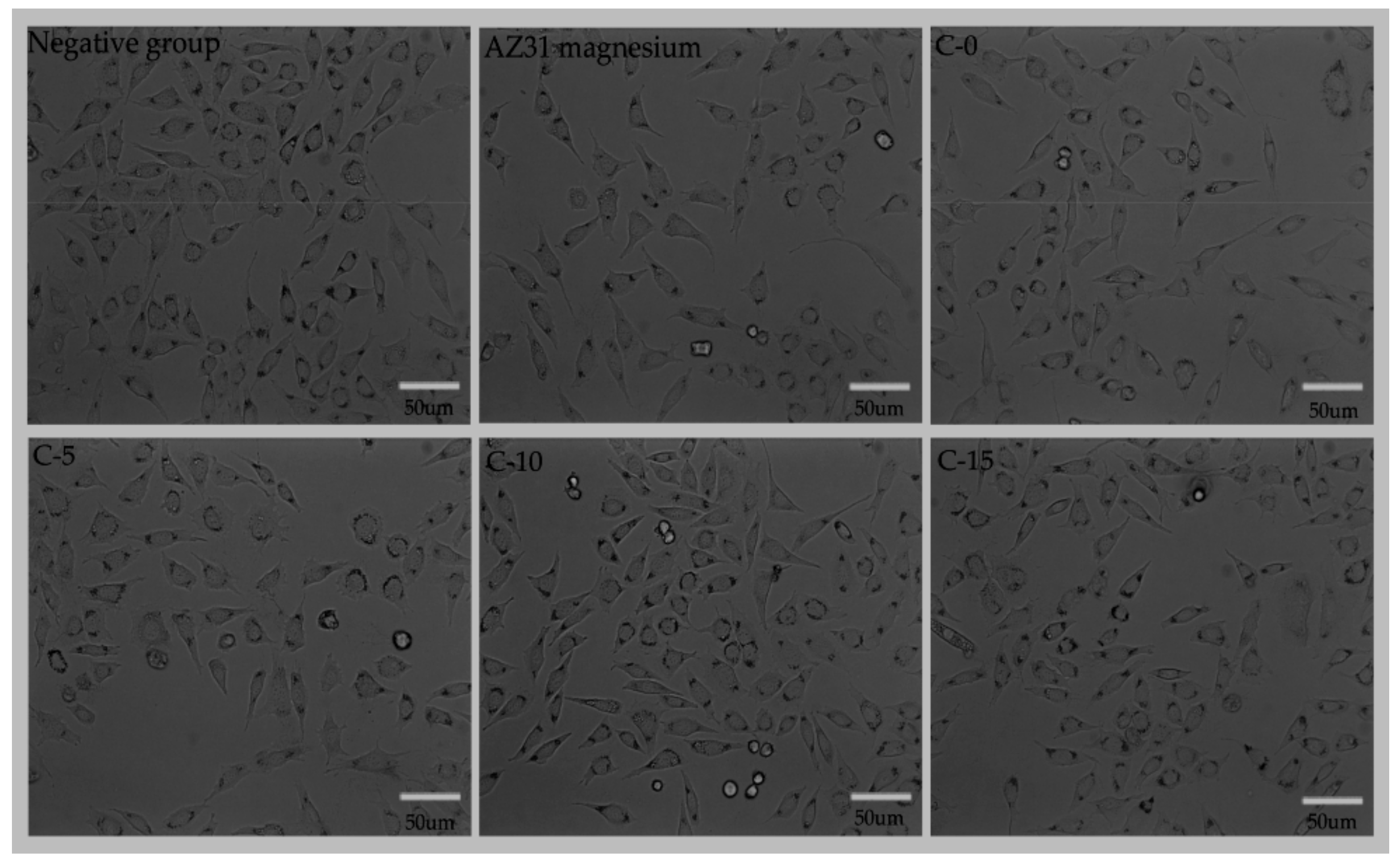 Coatings 09 00826 g010