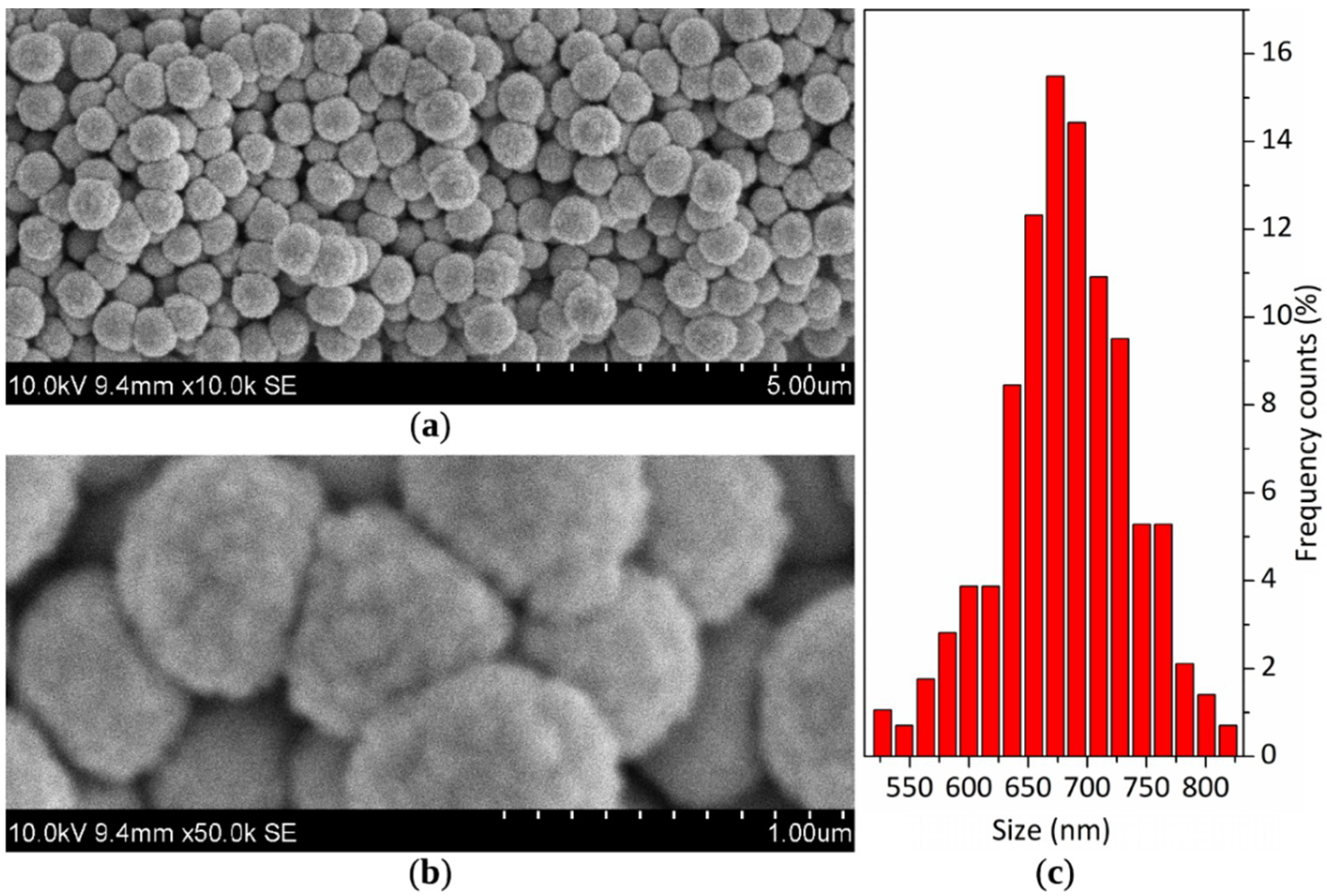 Coatings 09 00829 g001