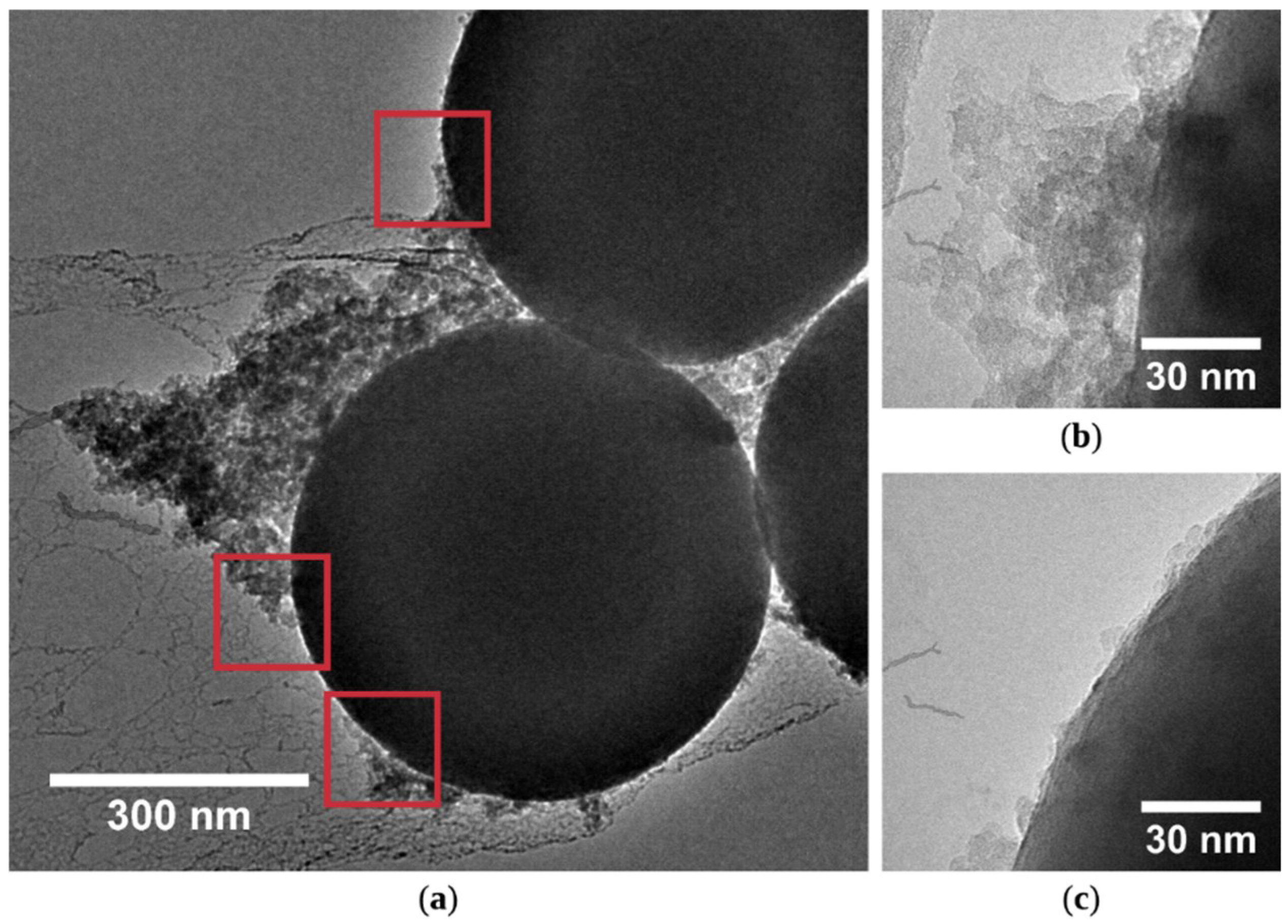 Coatings 09 00829 g002