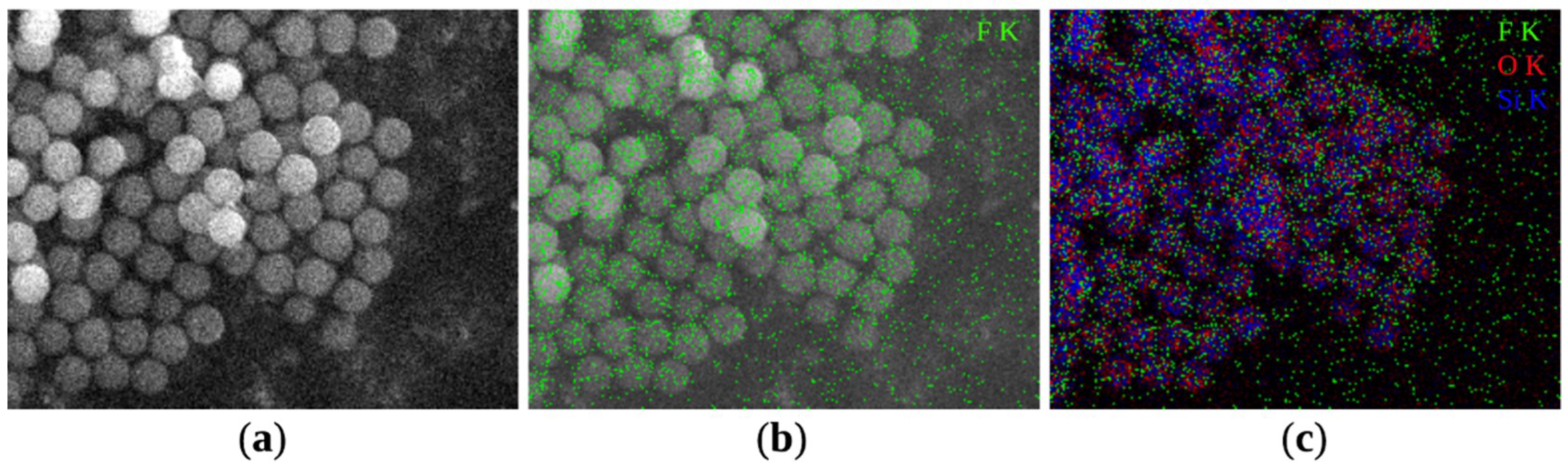 Coatings 09 00829 g003