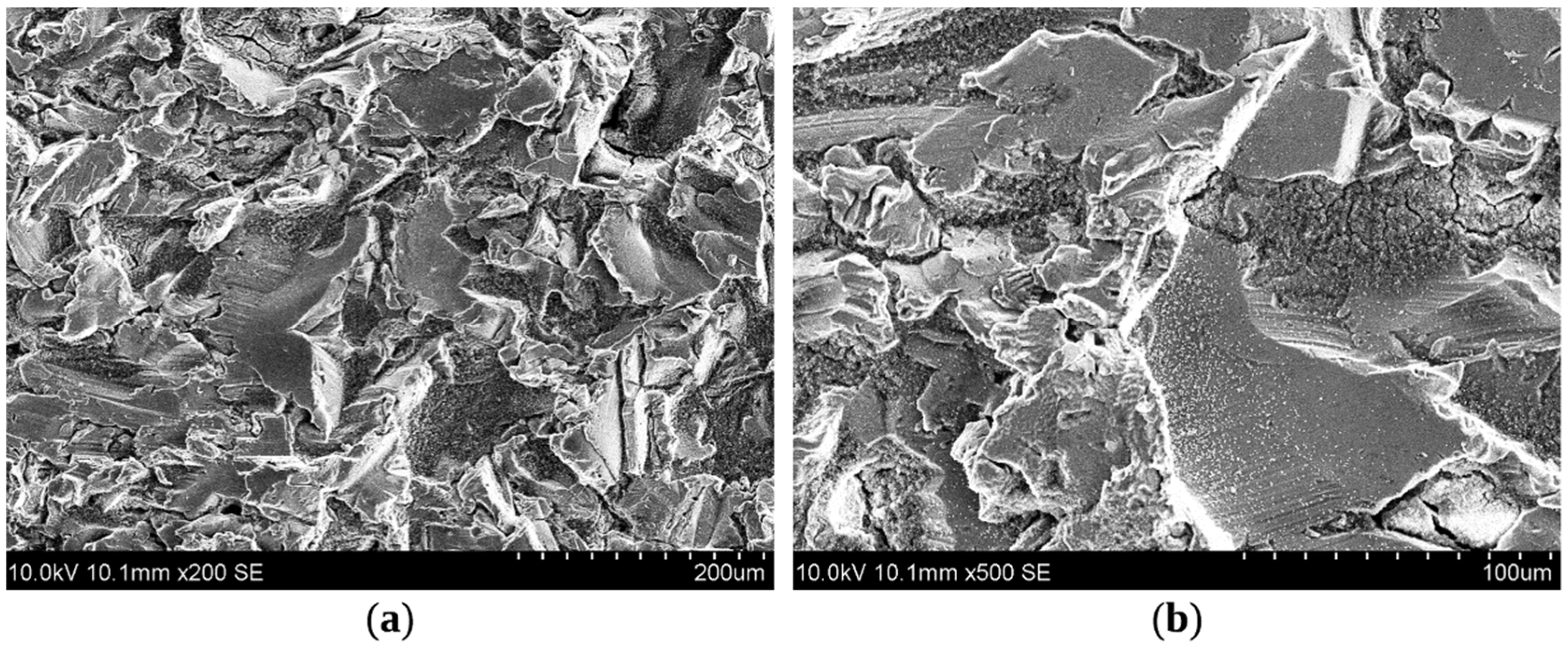 Coatings 09 00829 g006