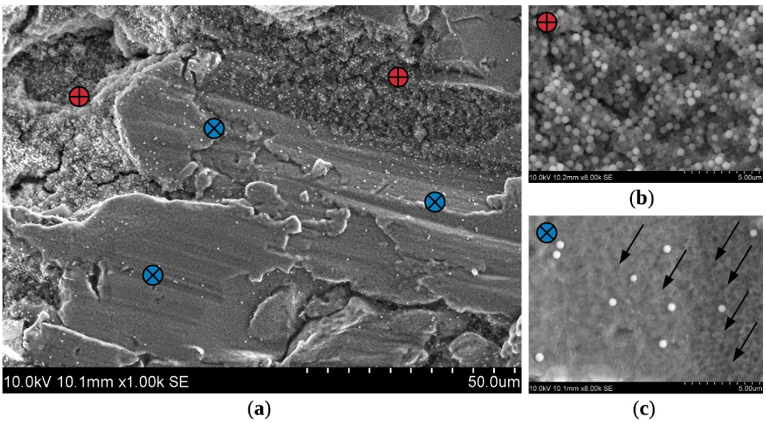 Coatings 09 00829 g007