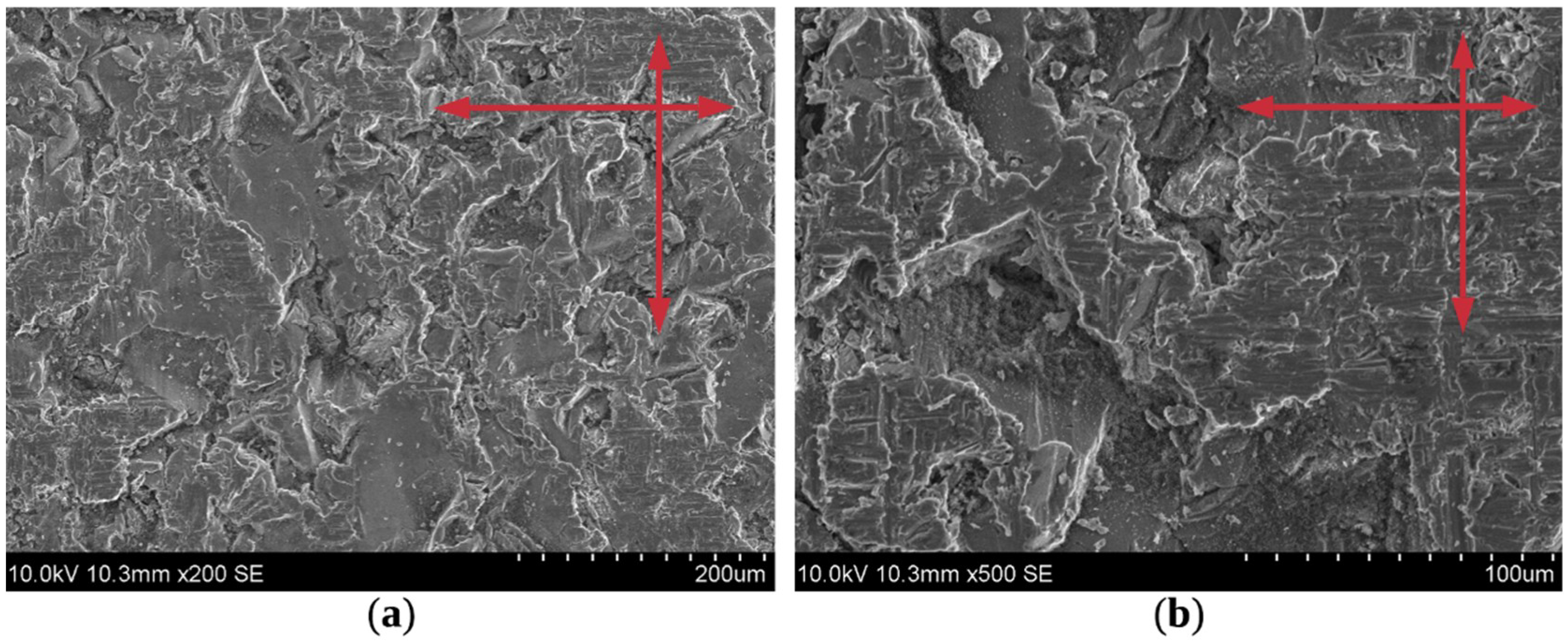 Coatings 09 00829 g010