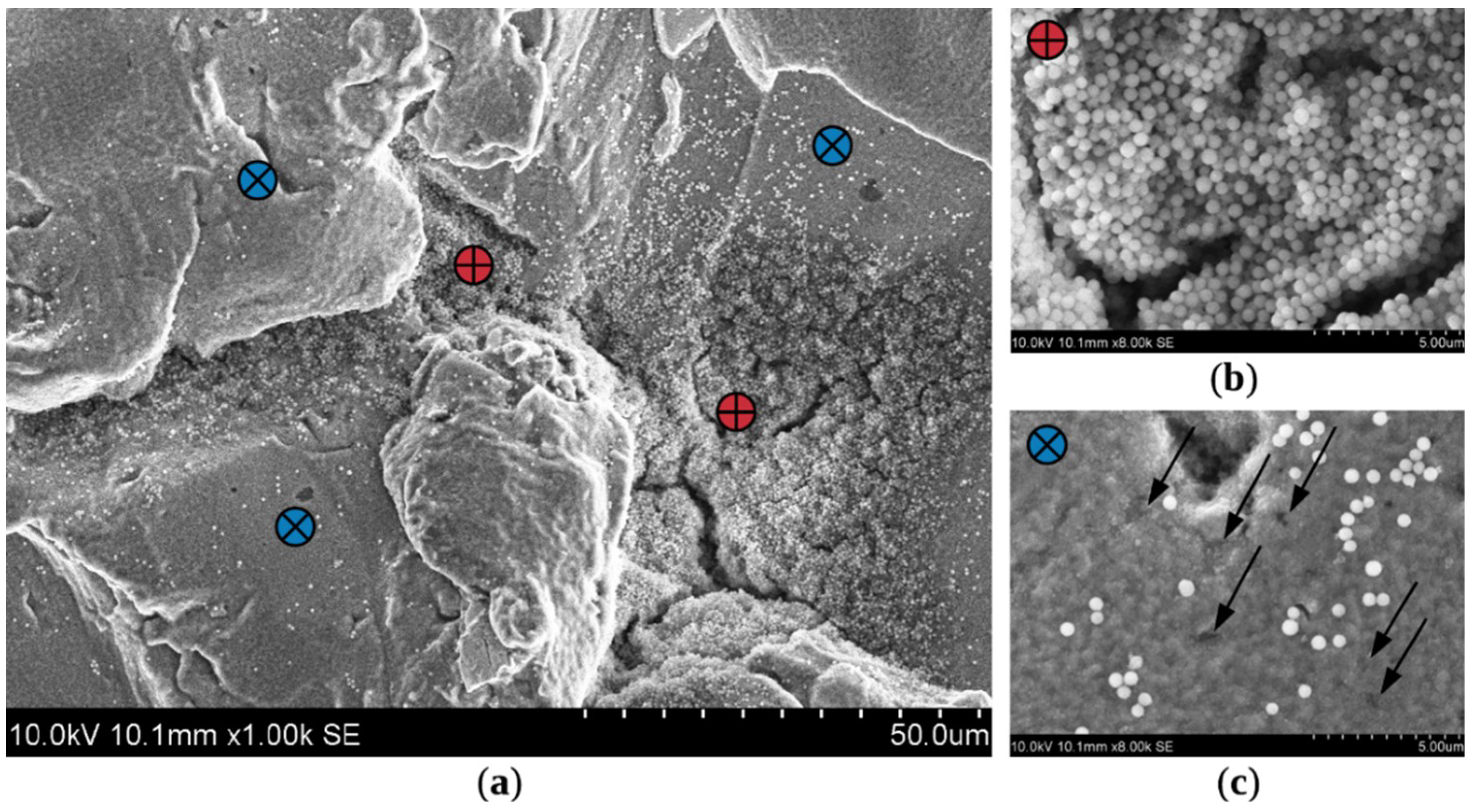 Coatings 09 00829 g011