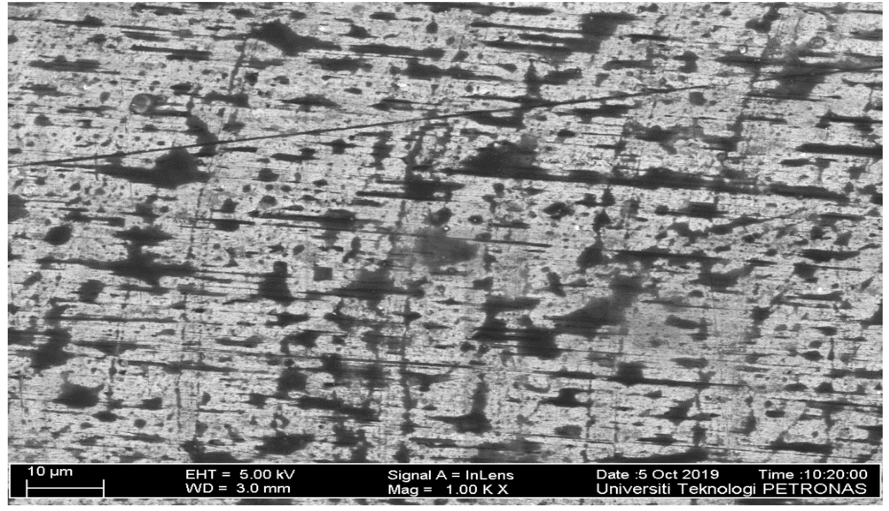 Coatings 09 00830 g002