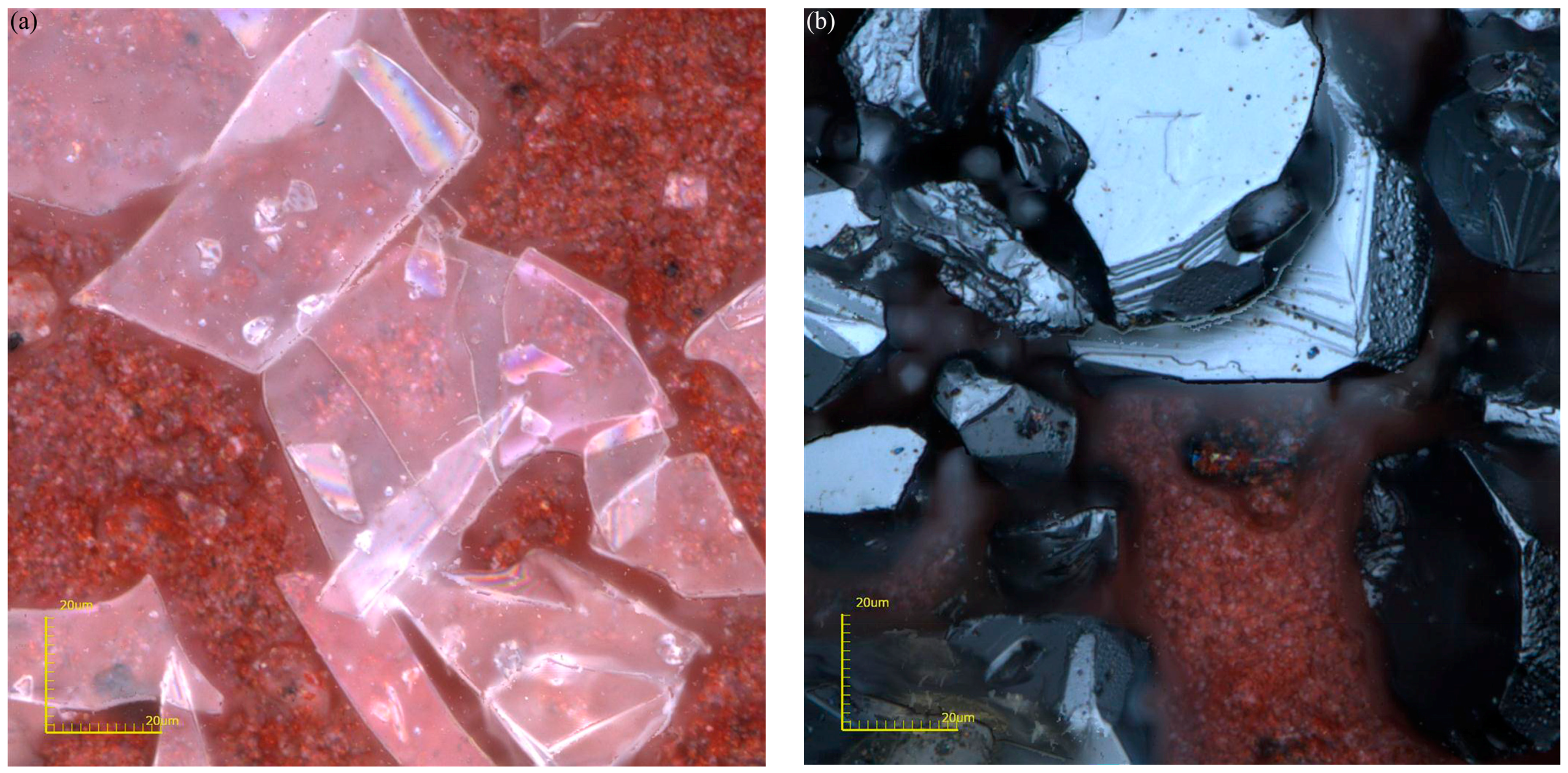 Coatings 09 00833 g001 Coatings 09 00833 g001